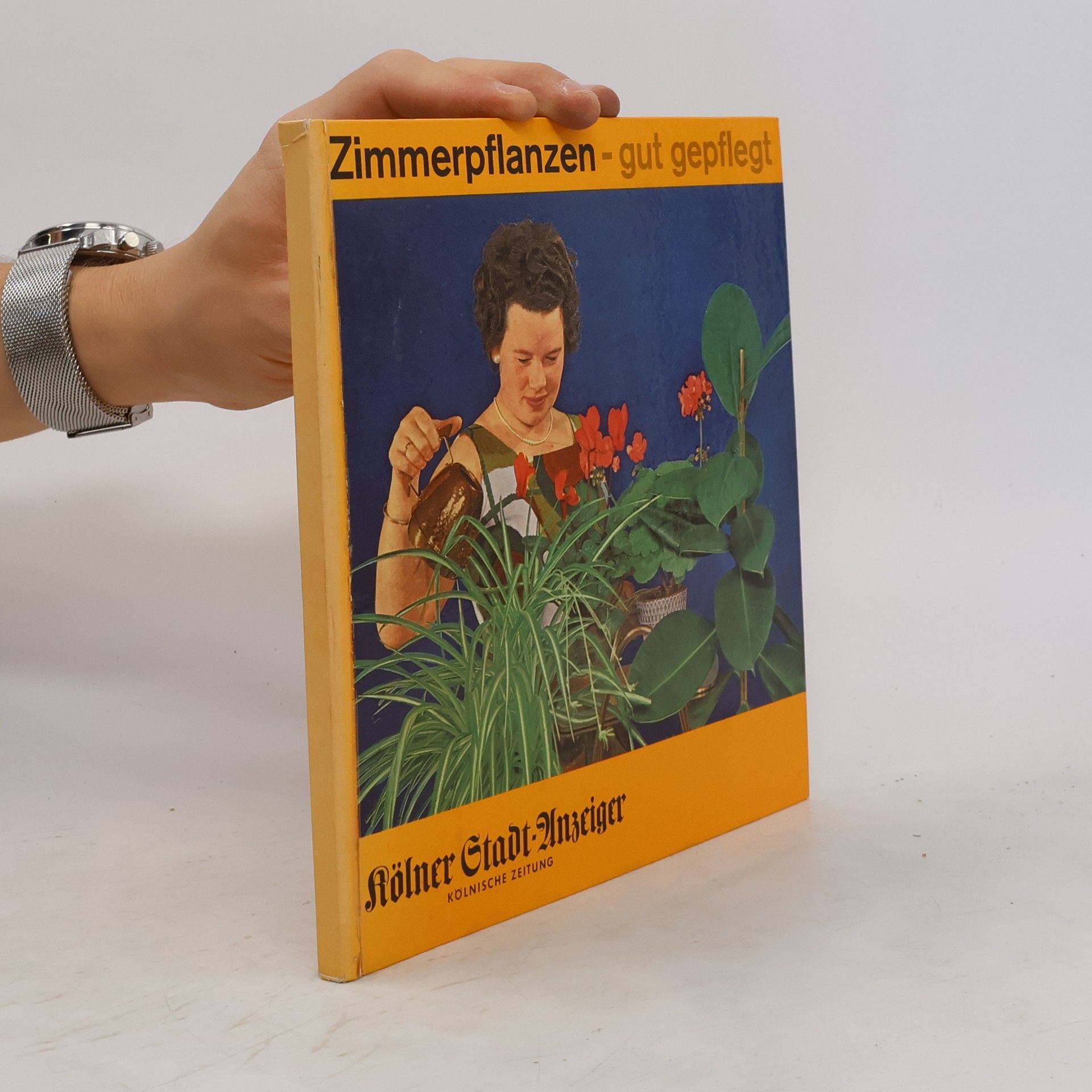 Auteurscollectief Zimmerpflanzen-gut gepflegt