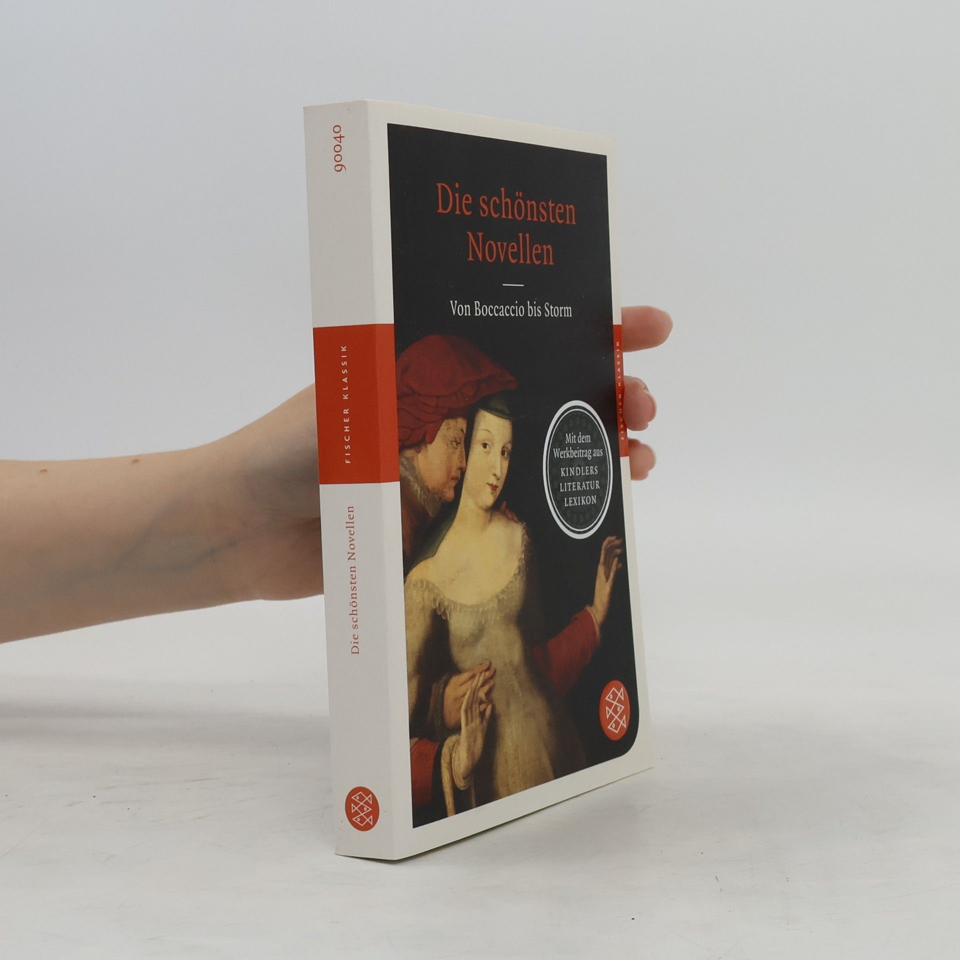 Theodor Storm Die schönsten Novellen
