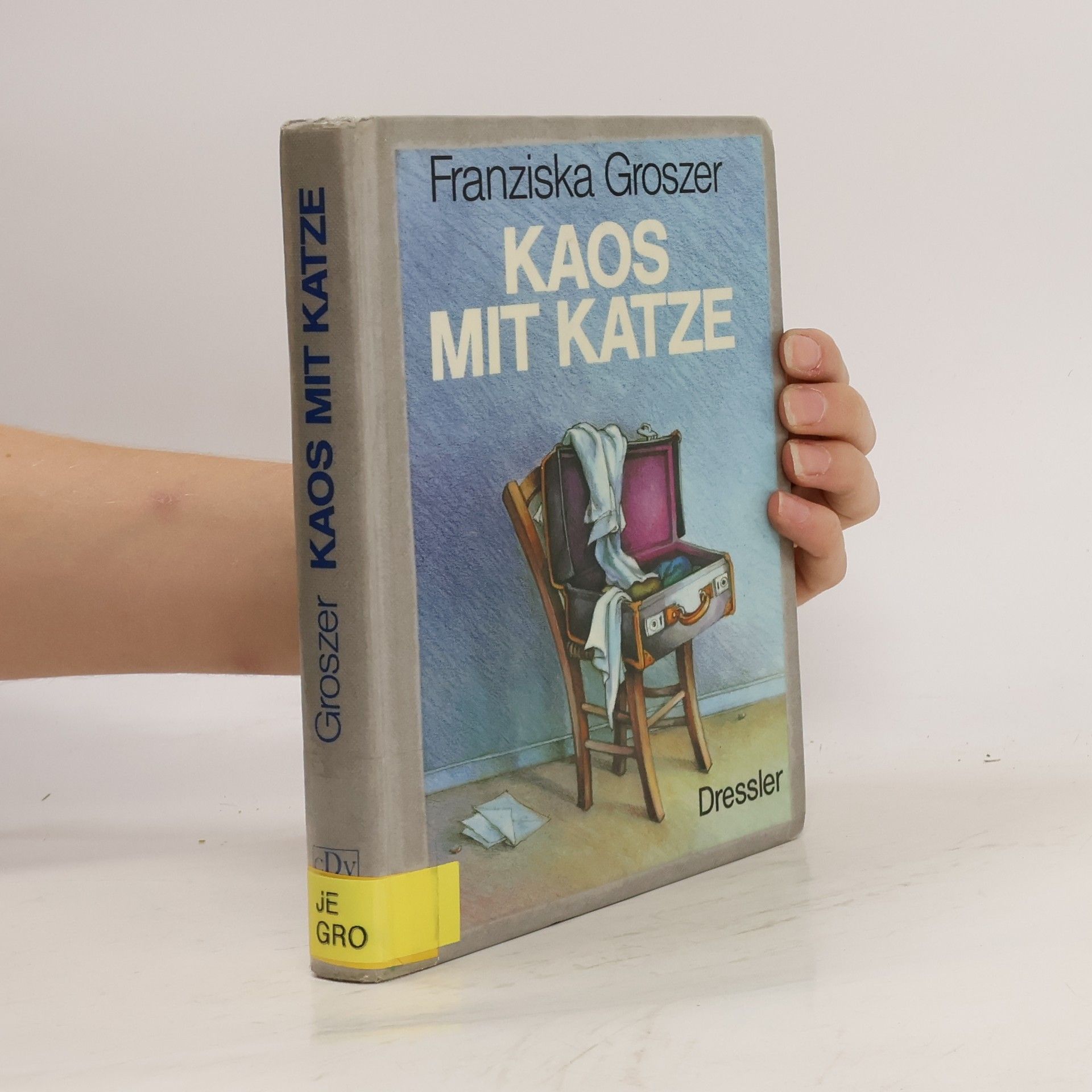Franziska Groszer Kaos mit Katze