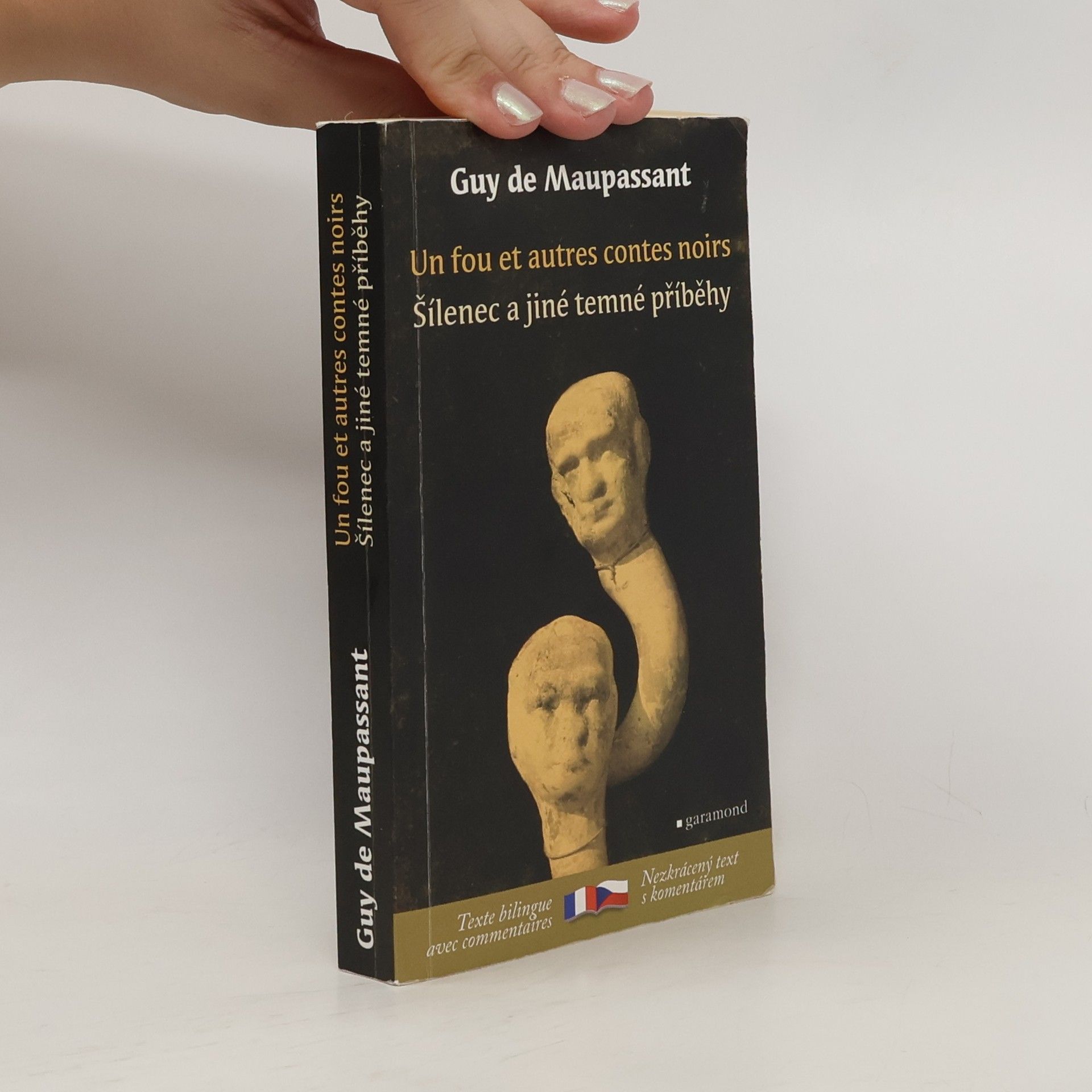 Guy de Maupassant Un fou et autres contes noirs. Šílenec a jiné temné příběhy