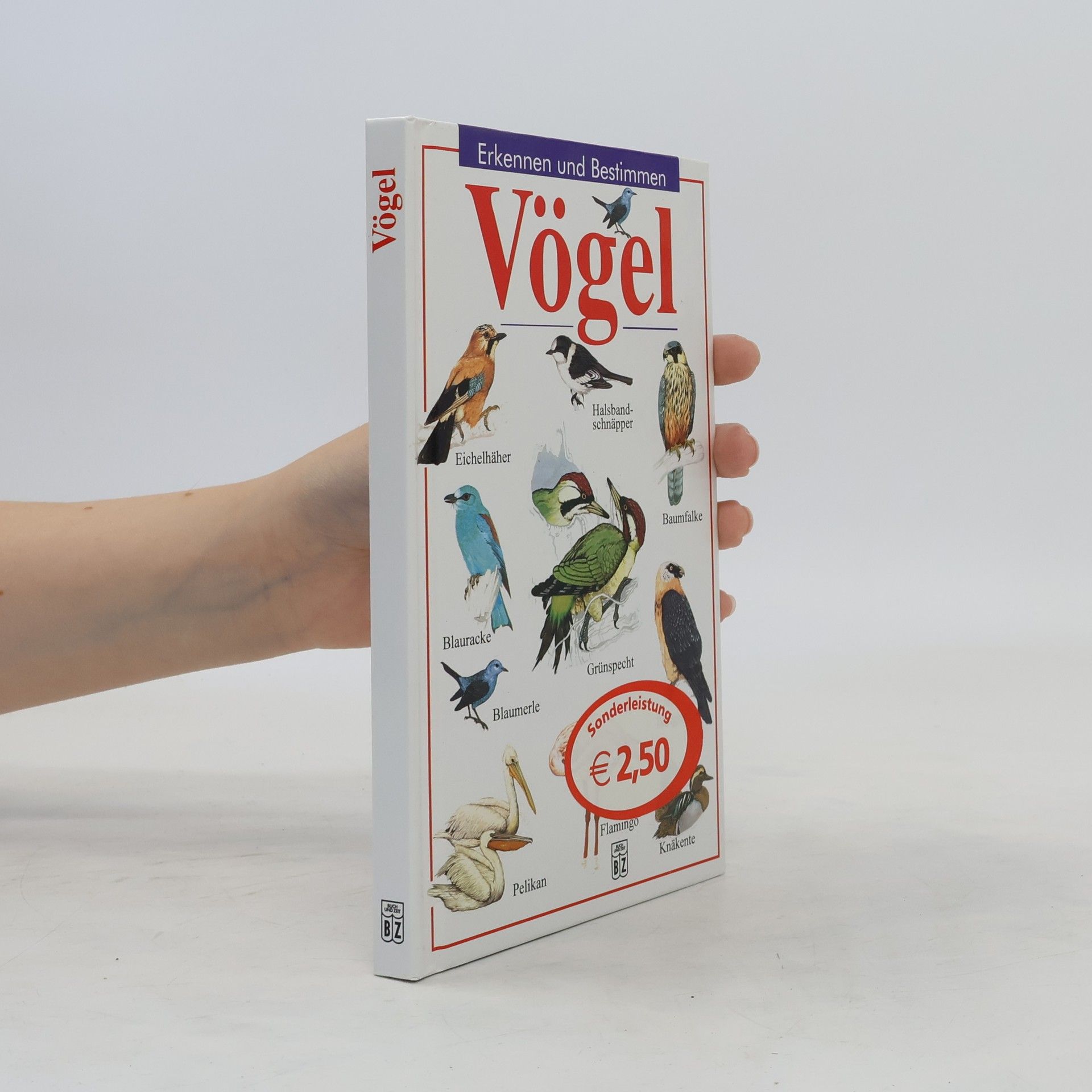 Collective Vögel