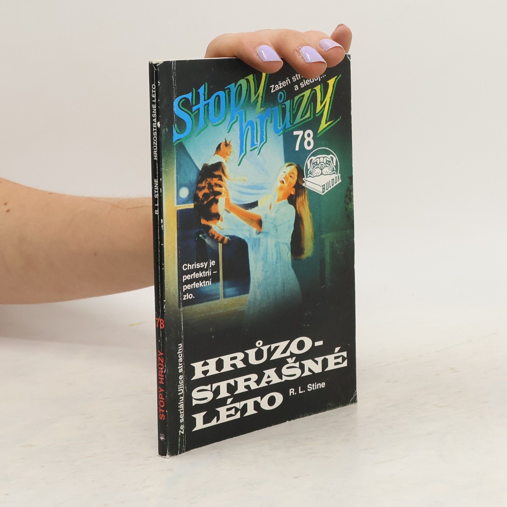 R. L. Stine Hrůzostrašné léto