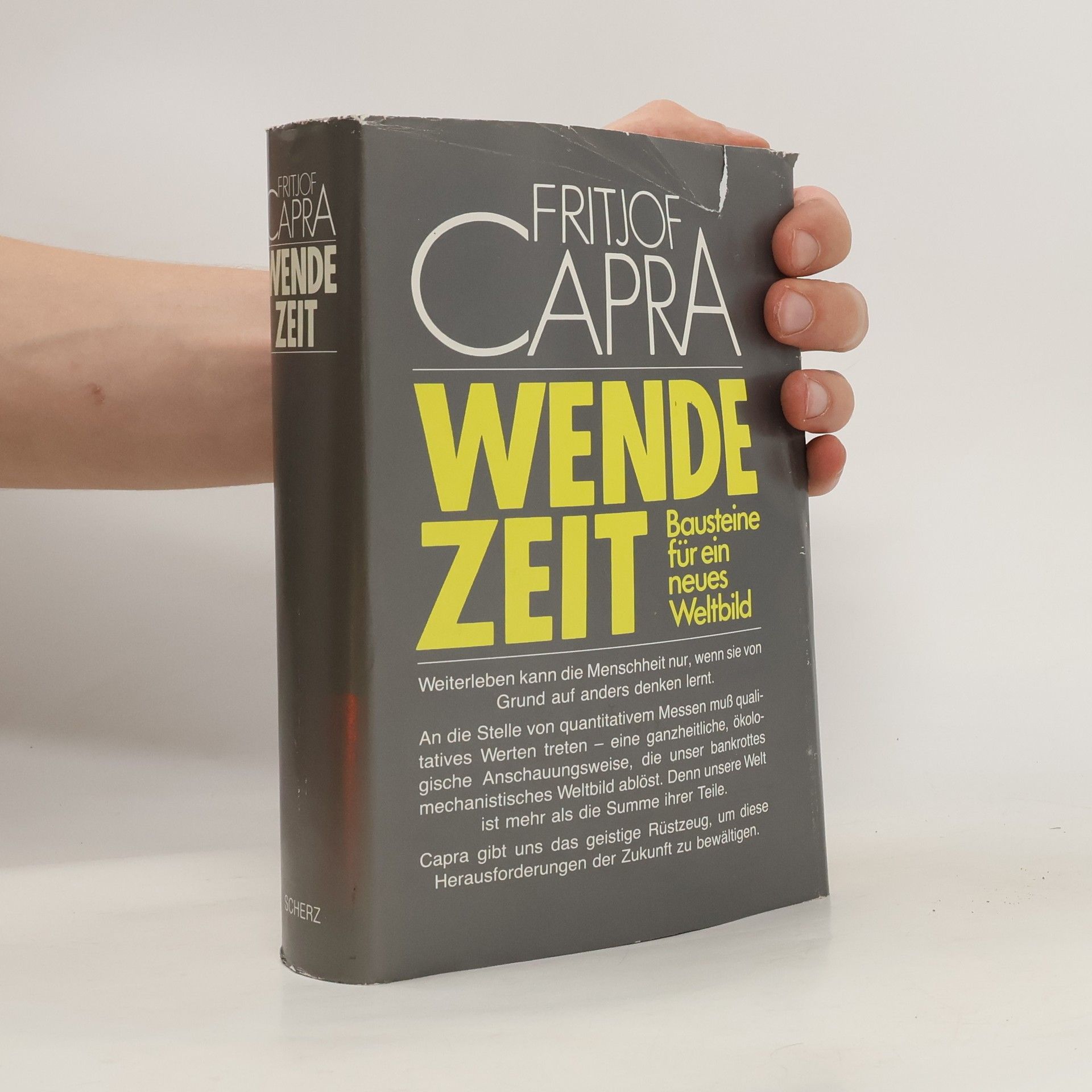 Fritjof Capra WENDEZEIT: Bausteine für ein neues Weltbild