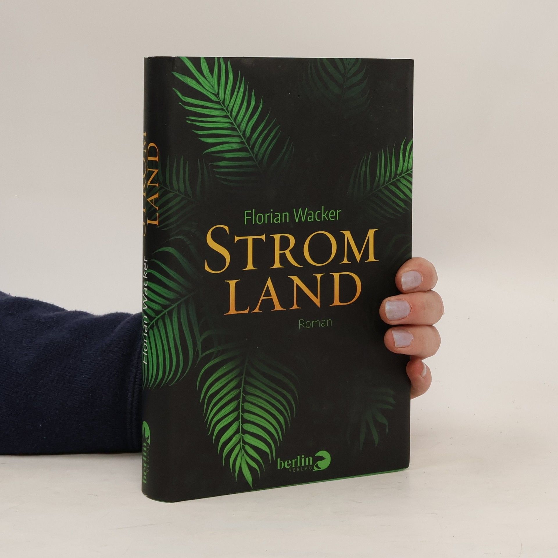 Florian Wacker Stromland
