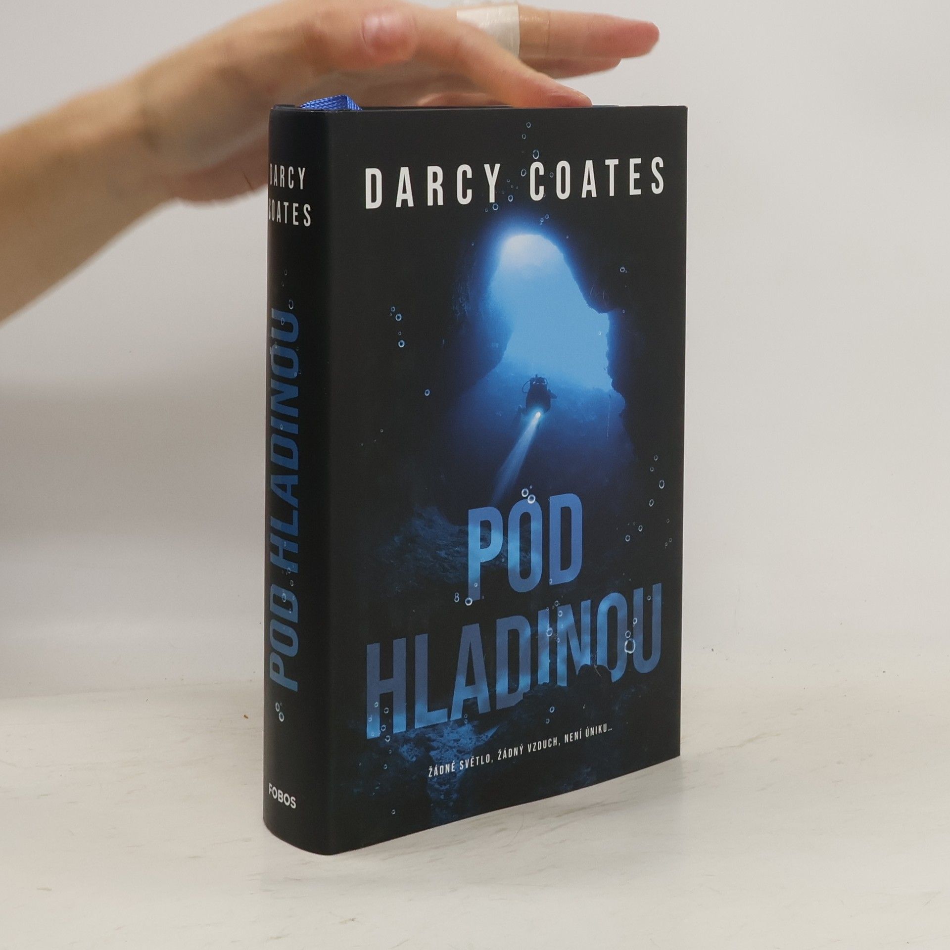 Darcy Coates Pod hladinou