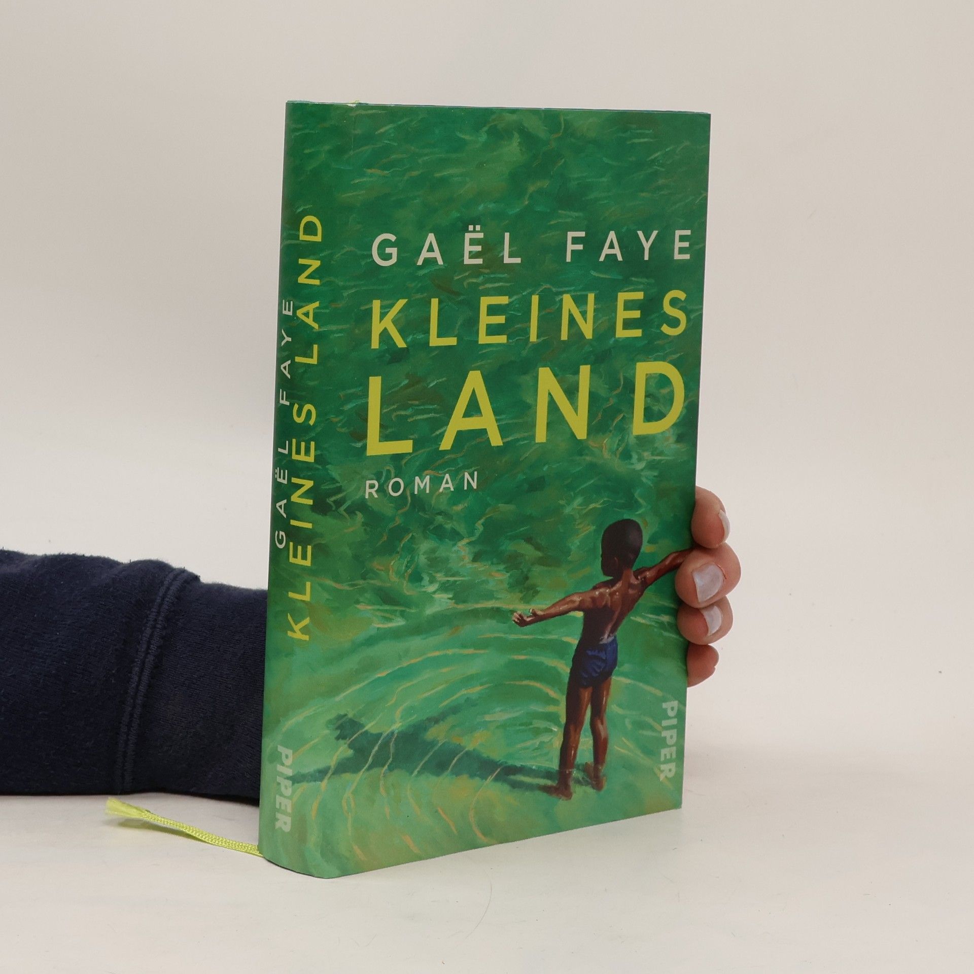 Gaël Faye Kleines Land