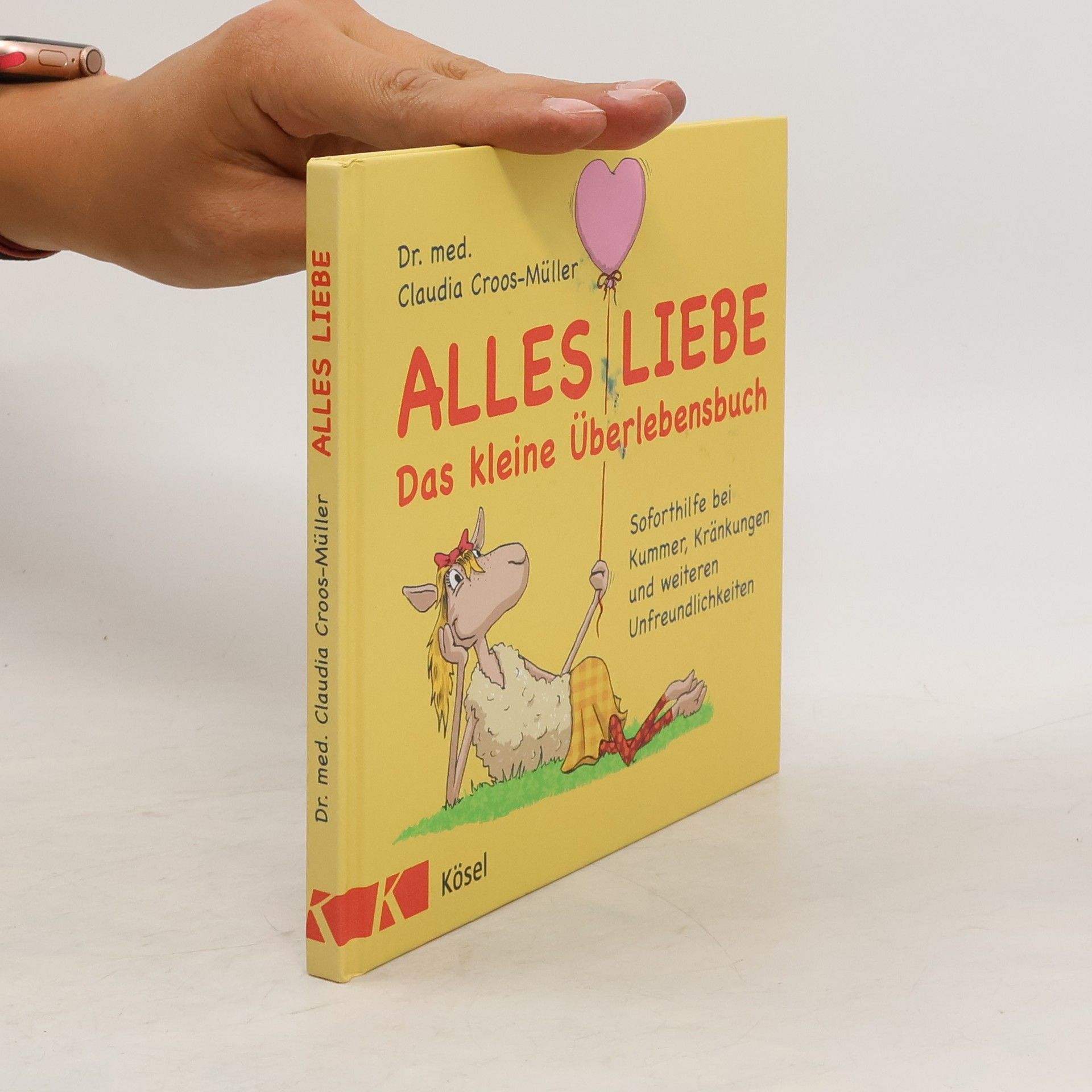 Claudia Croos-Müller Alles Liebe - das kleine Überlebensbuch