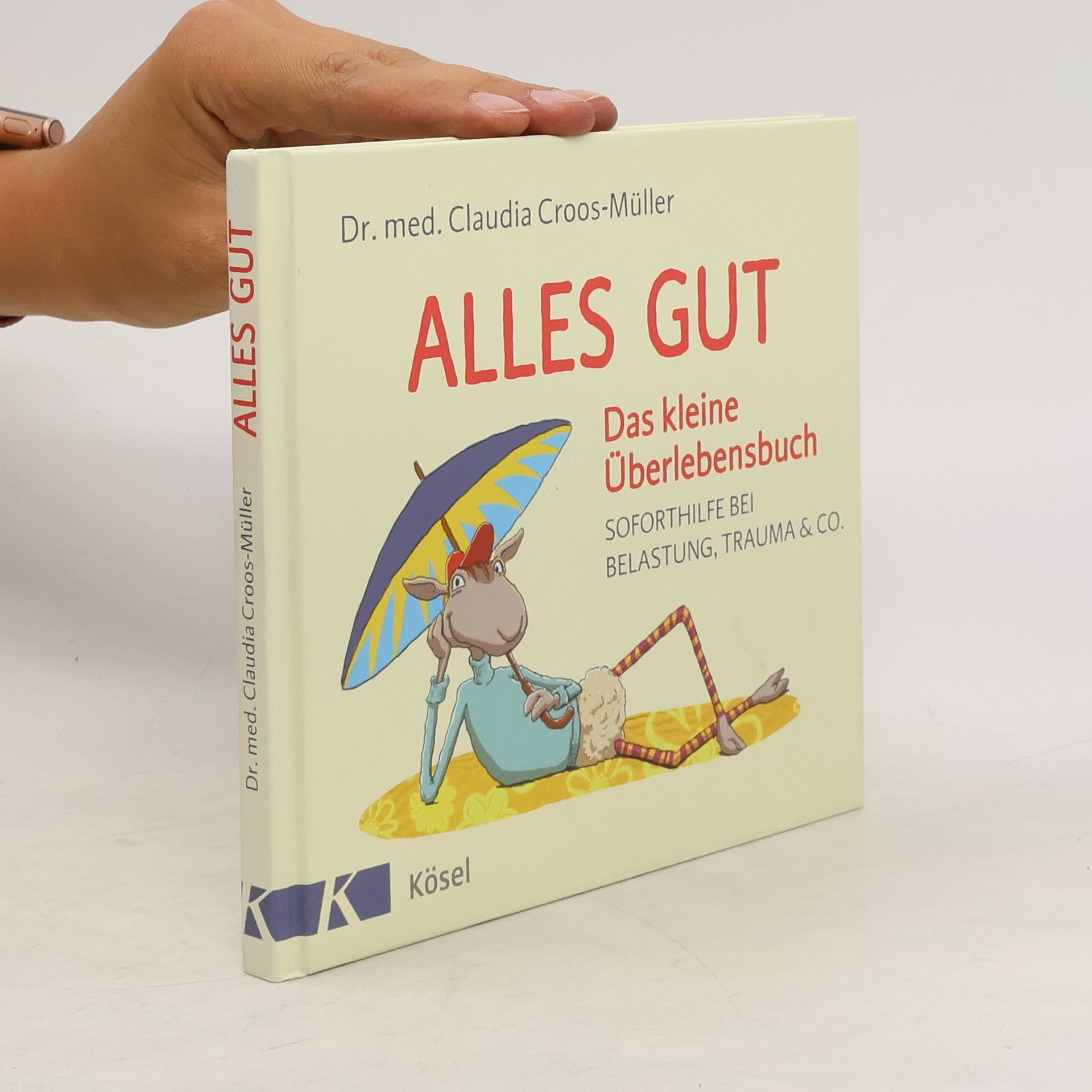 Claudia Croos-Müller Alles gut - das kleine Überlebensbuch