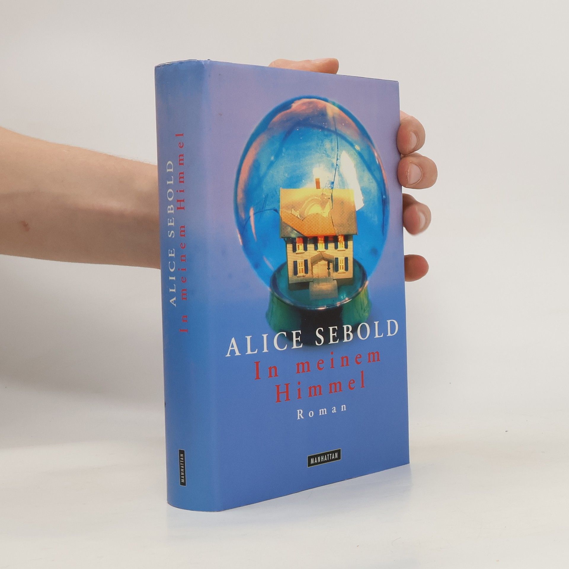 Alice Sebold In meinem Himmel