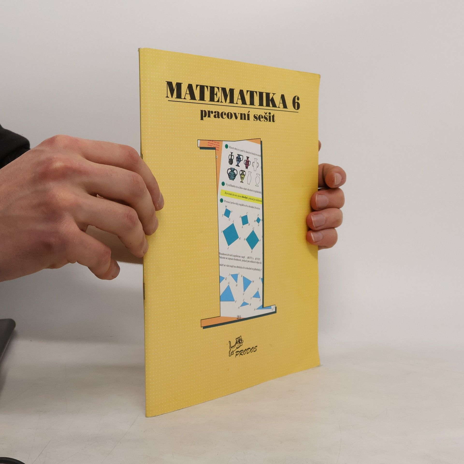 Slouka Jan Matematika 6 – pracovní sešit 1