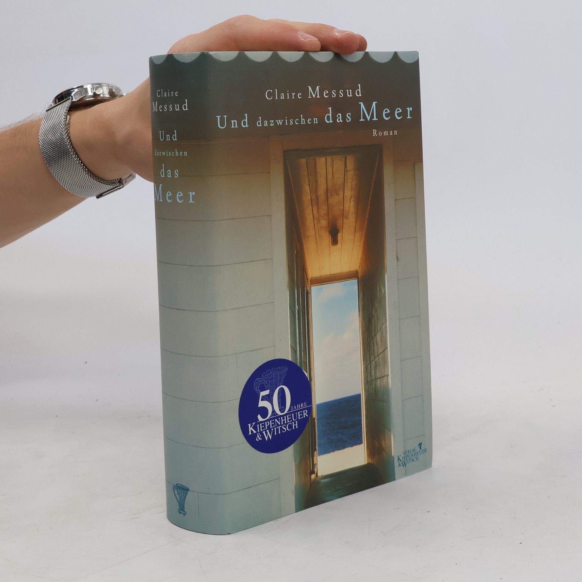 Claire Messud Und dazwischen das Meer
