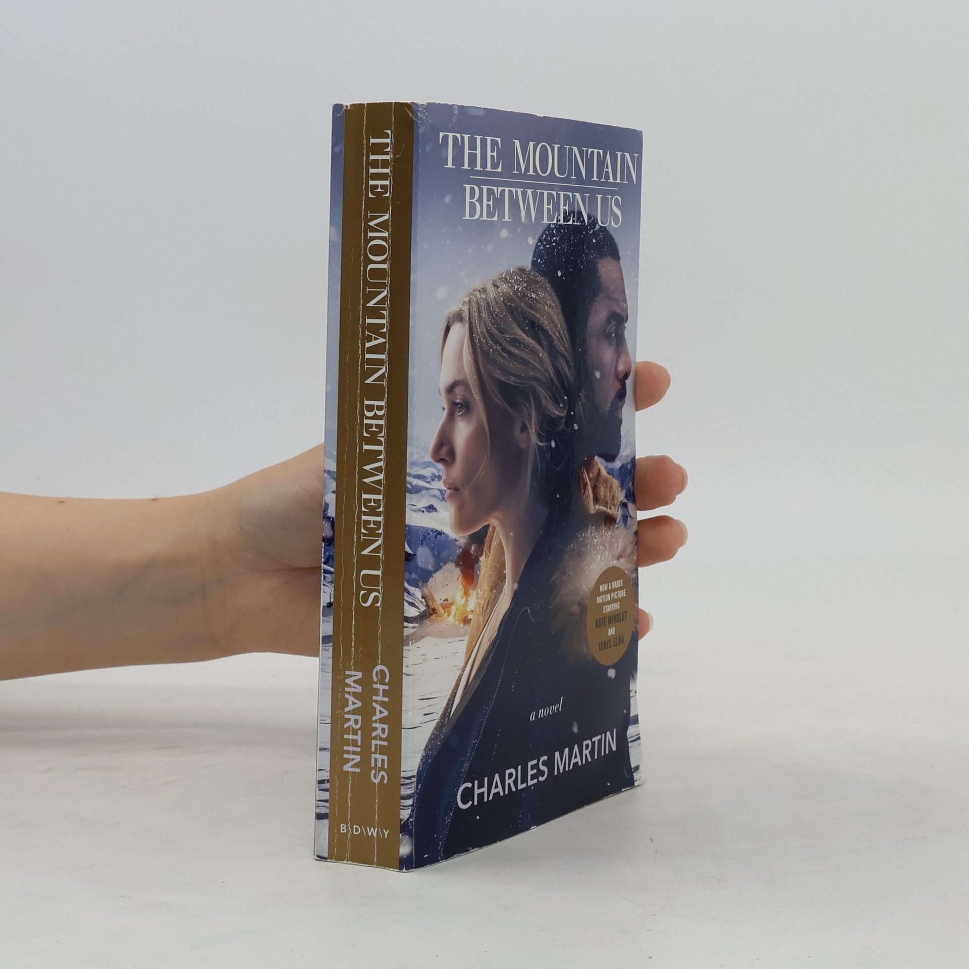 Charles Martin The Mountain Between Us (Movie Tie-In)