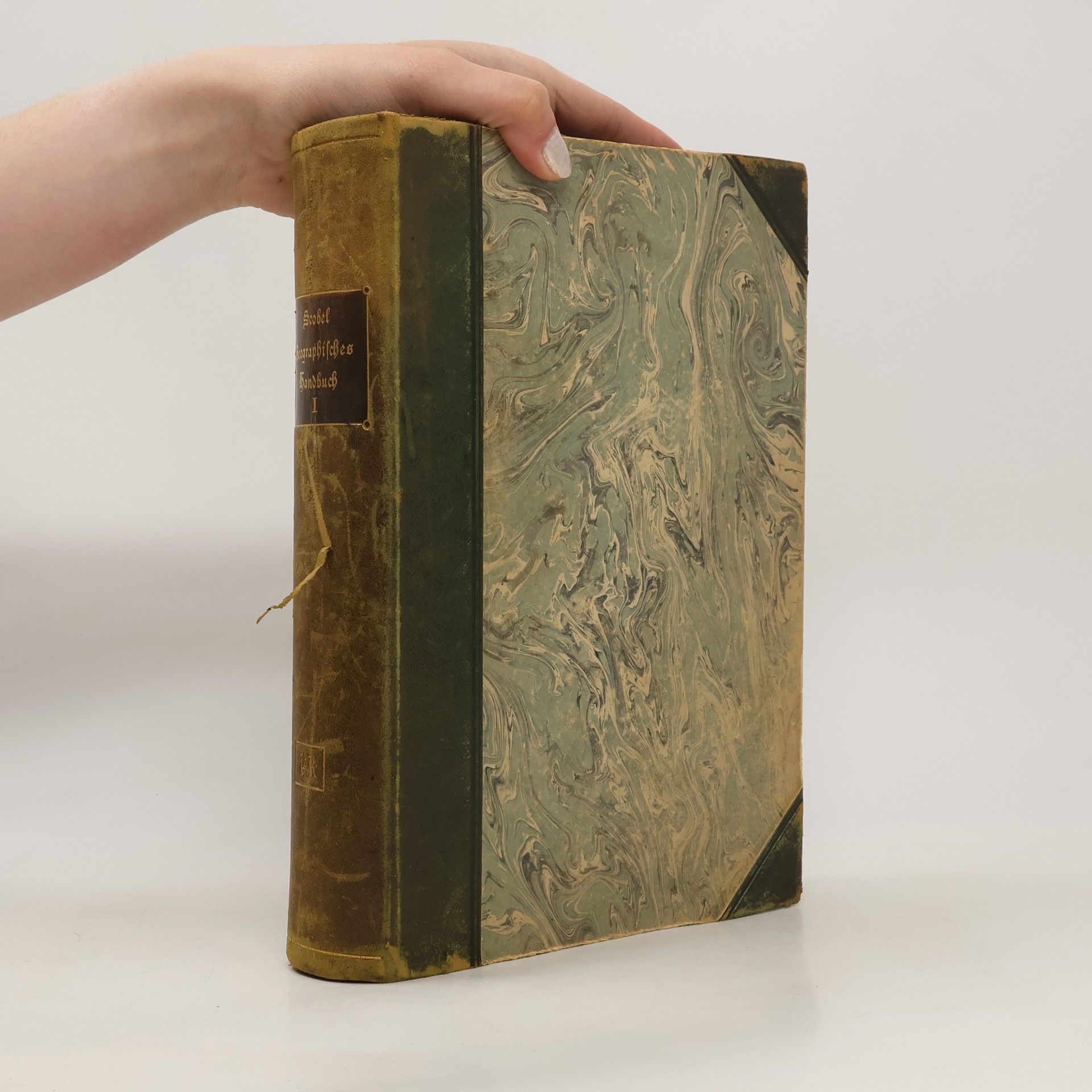 Albert Scobel Geographisches Handbuch. Allgemeine Erdkunde, Länderkunde und Wirtschaftsgeographie 1