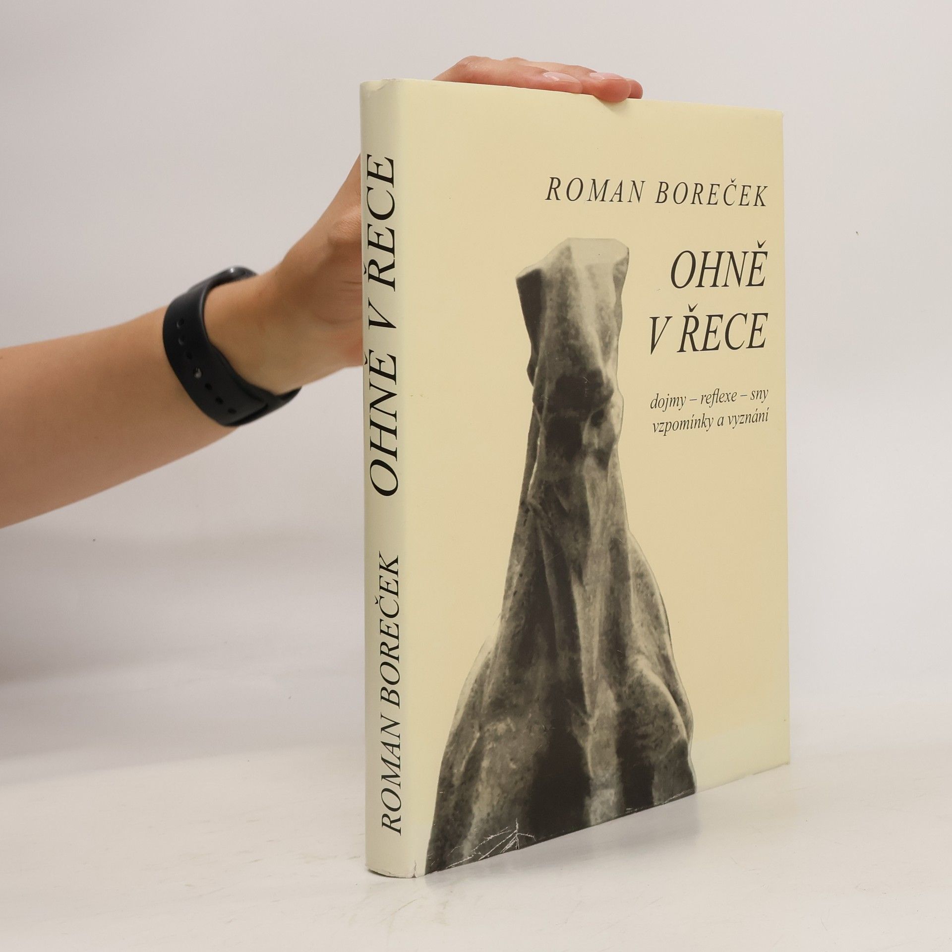 Roman Boreček Ohně v řece