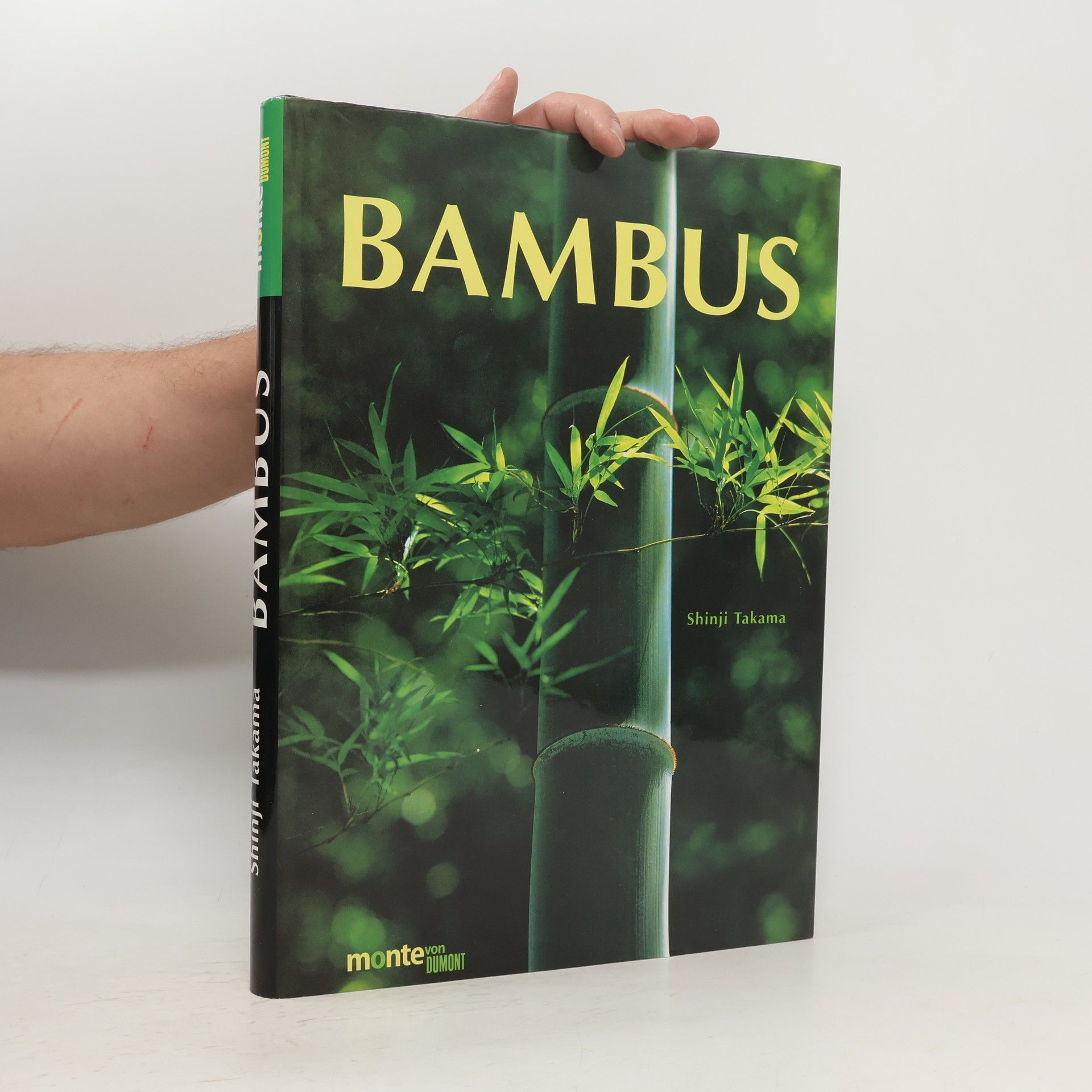 Shinji Takama Bambus