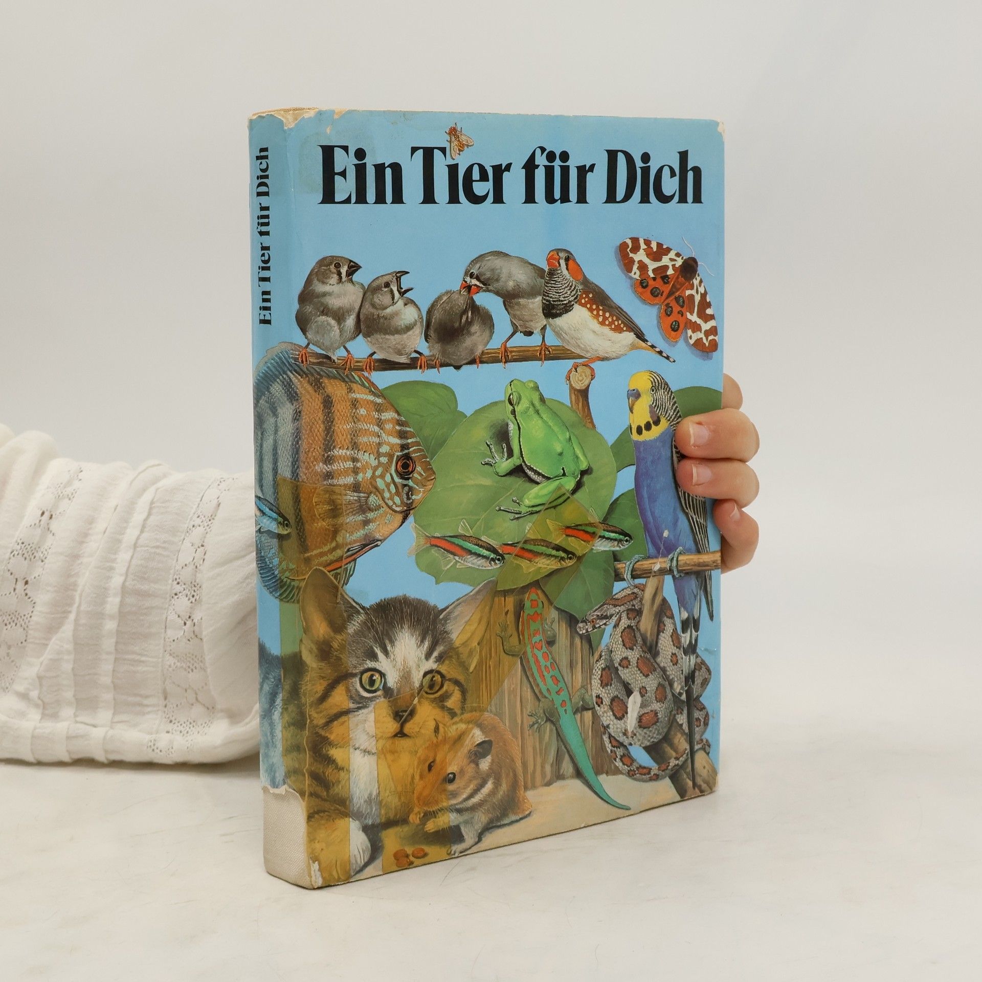 Autorenkollektiv Ein Tier für dich