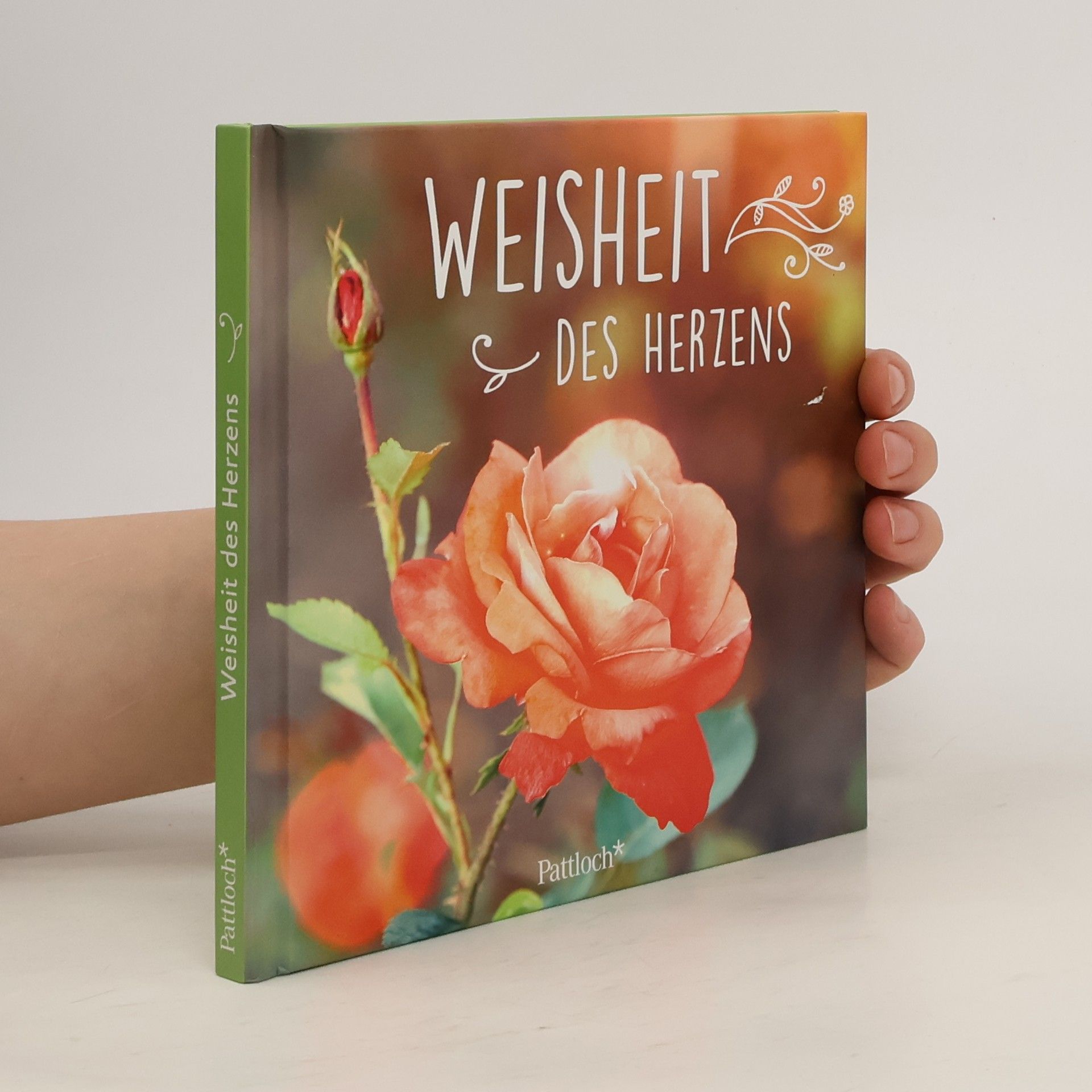 Michaela Schachtner Weisheit des Herzens