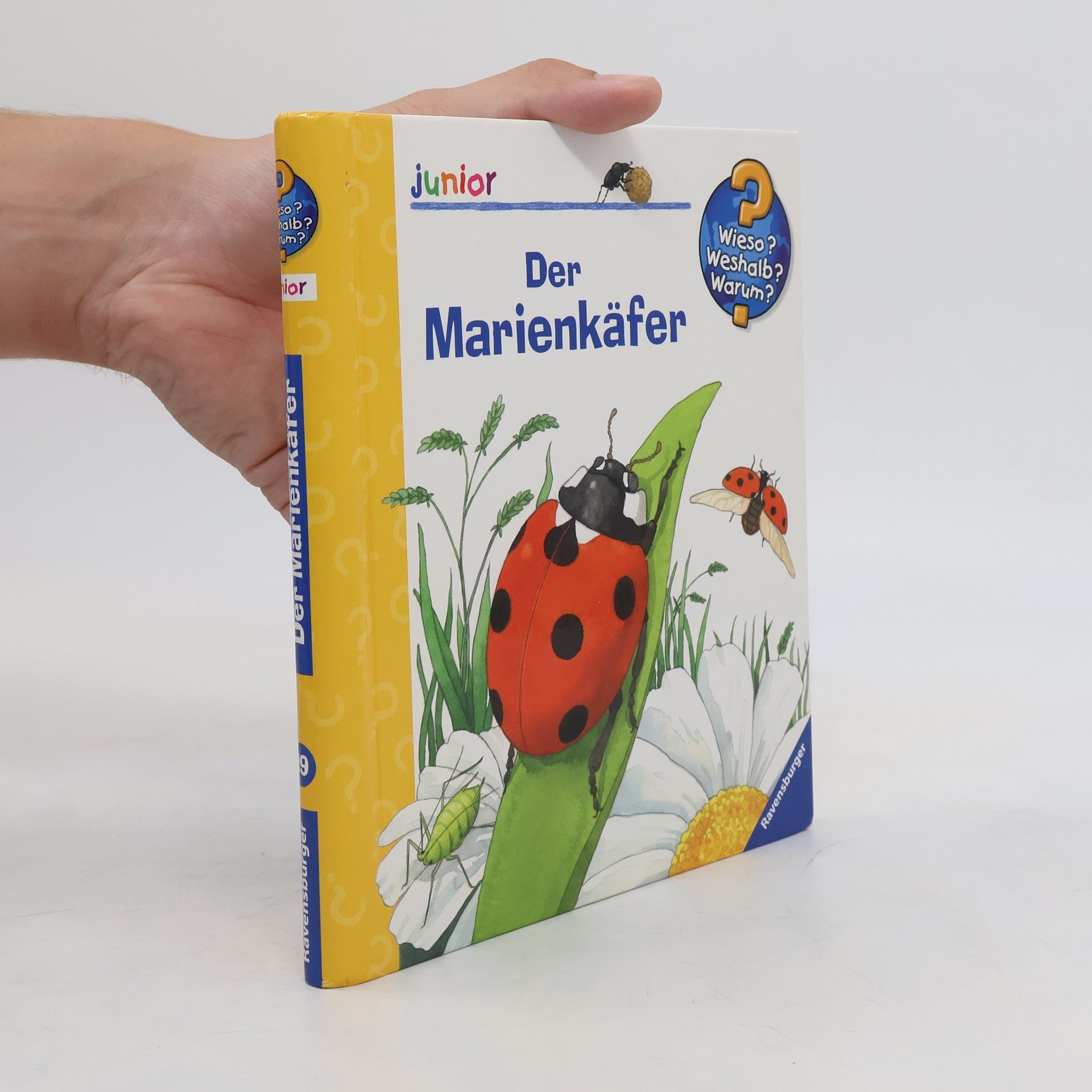 Anne Ebert Der Marienkäfer