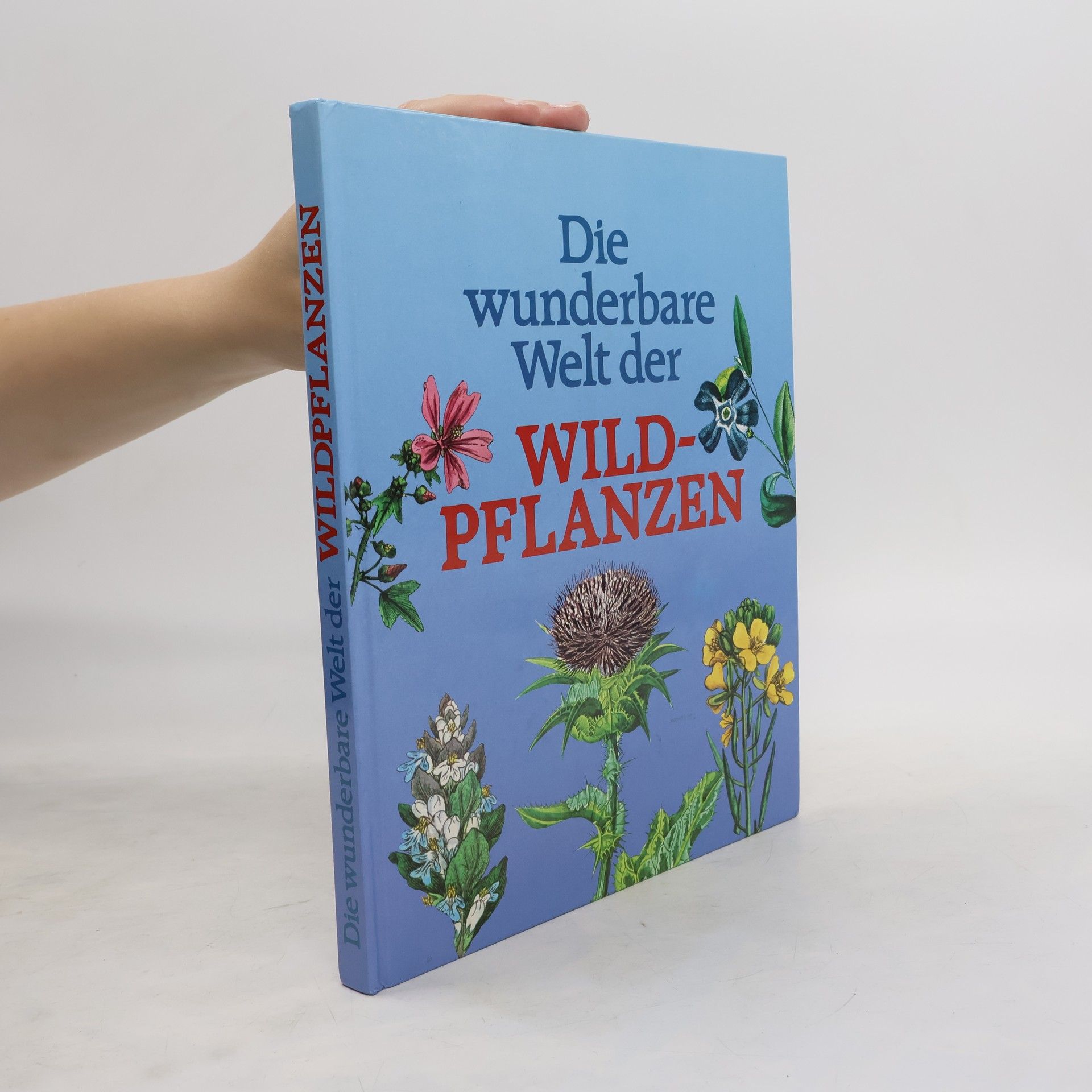 Pierre-Joseph Redouté Die wunderbare Welt der Wildpflanzen