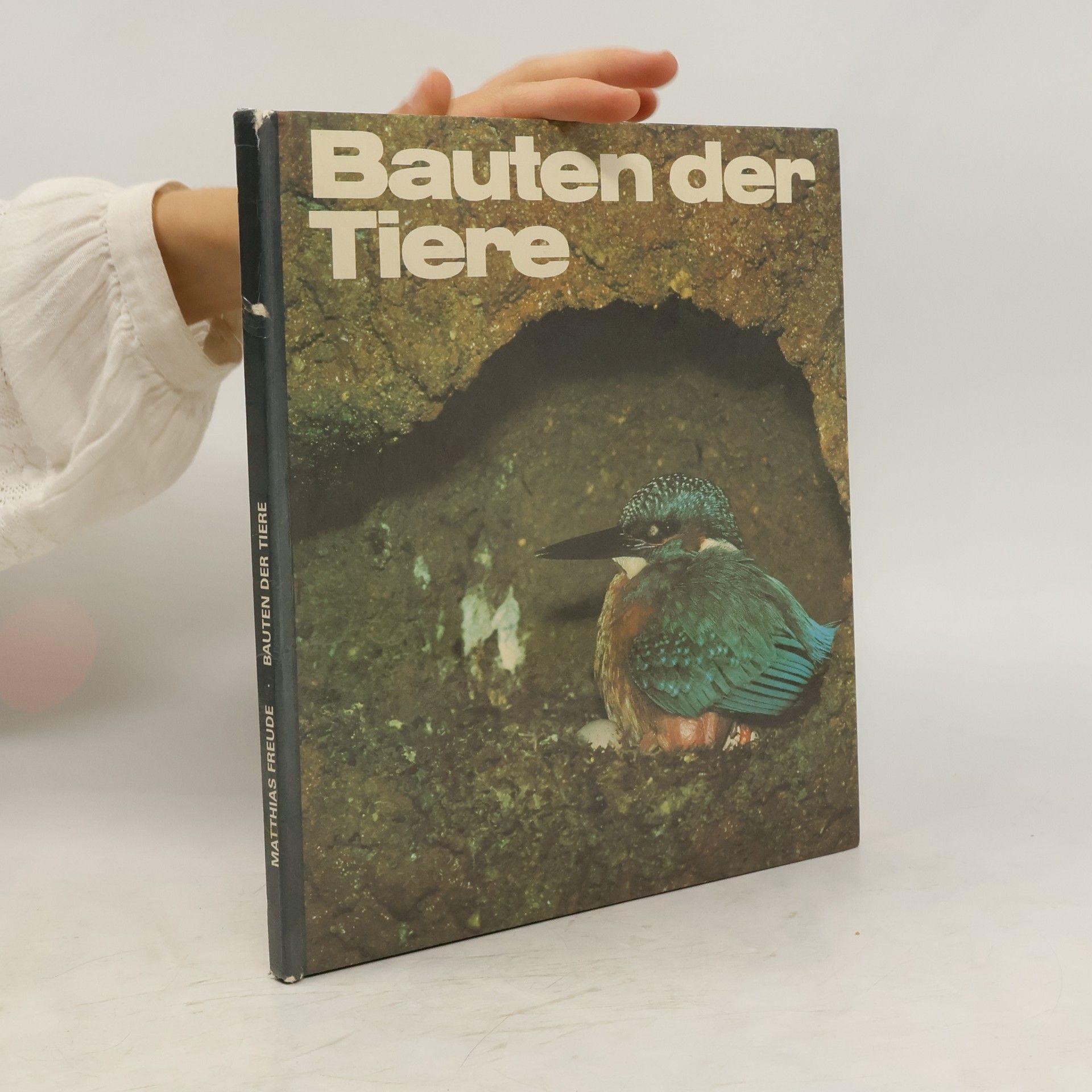 Matthias Freude Bauten der Tiere