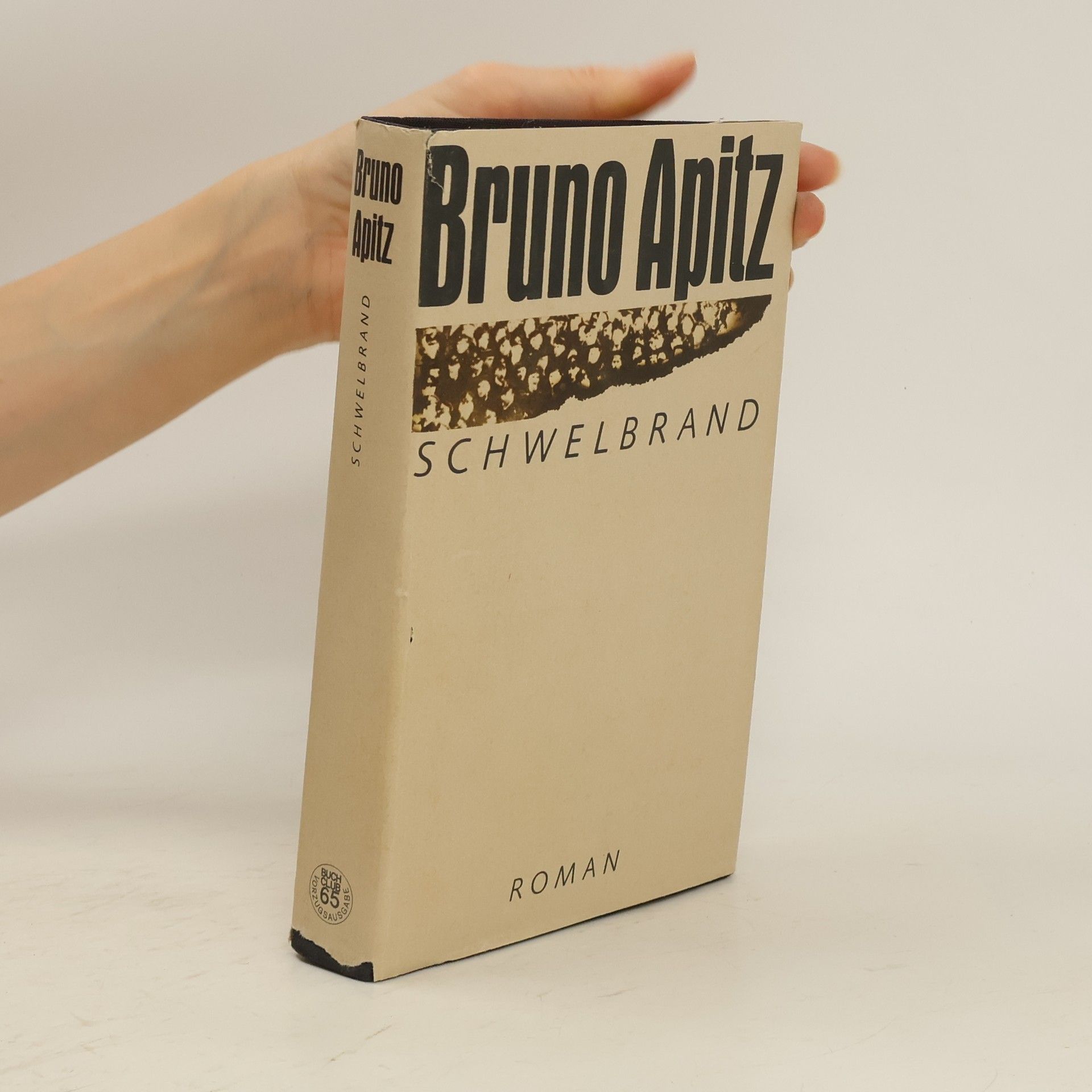 Bruno Apitz Schwelbrand