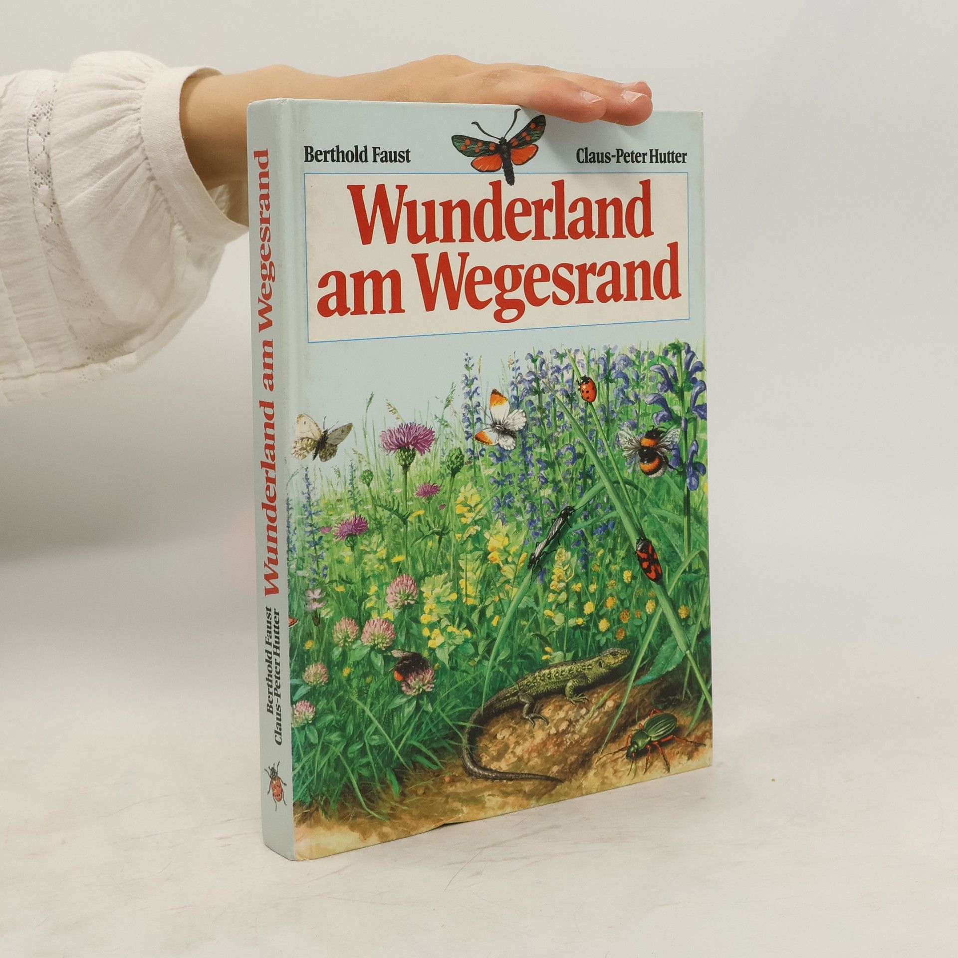 Berthold Faust Wunderland am Wegesrand