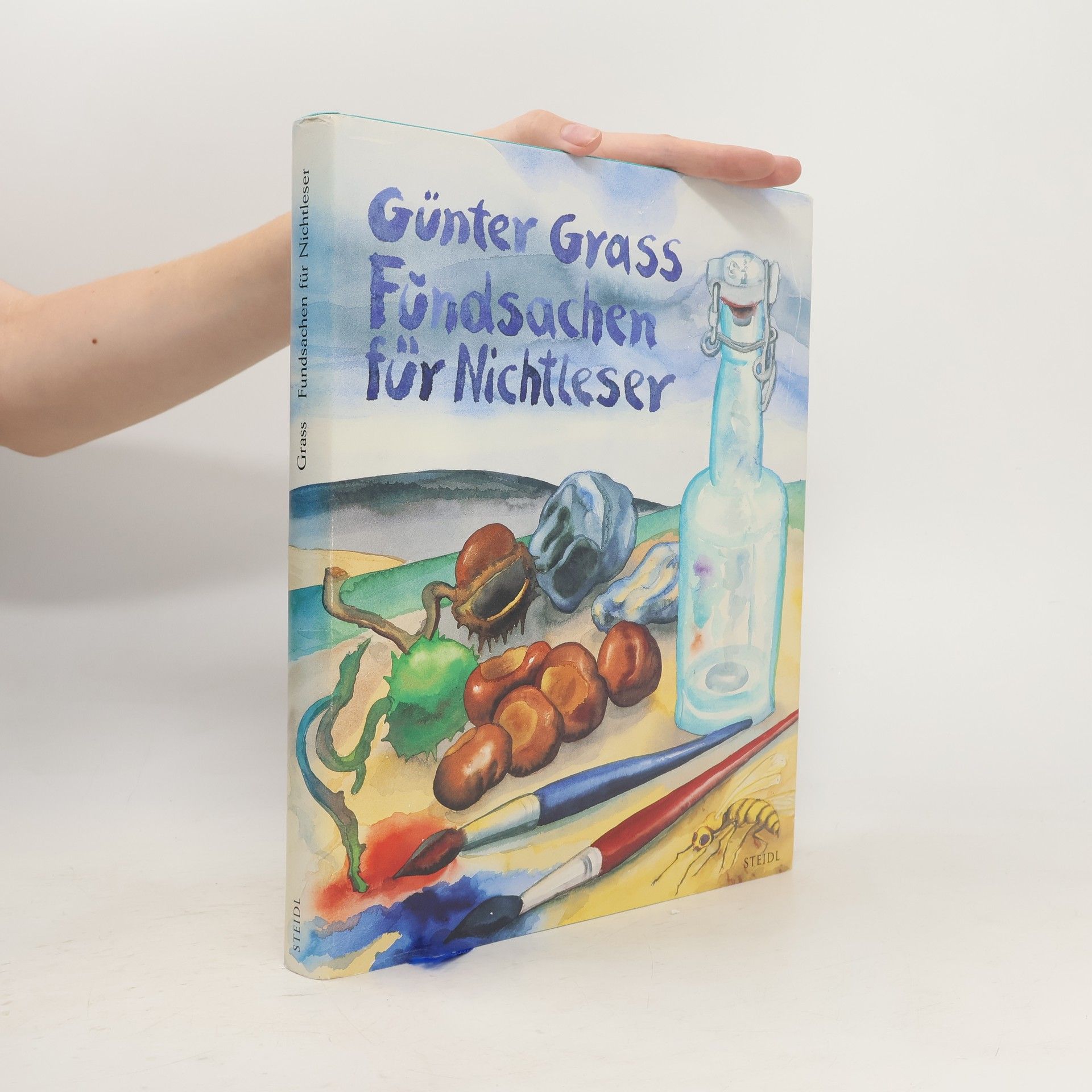 Günter Grass Fundsachen für Nichtleser