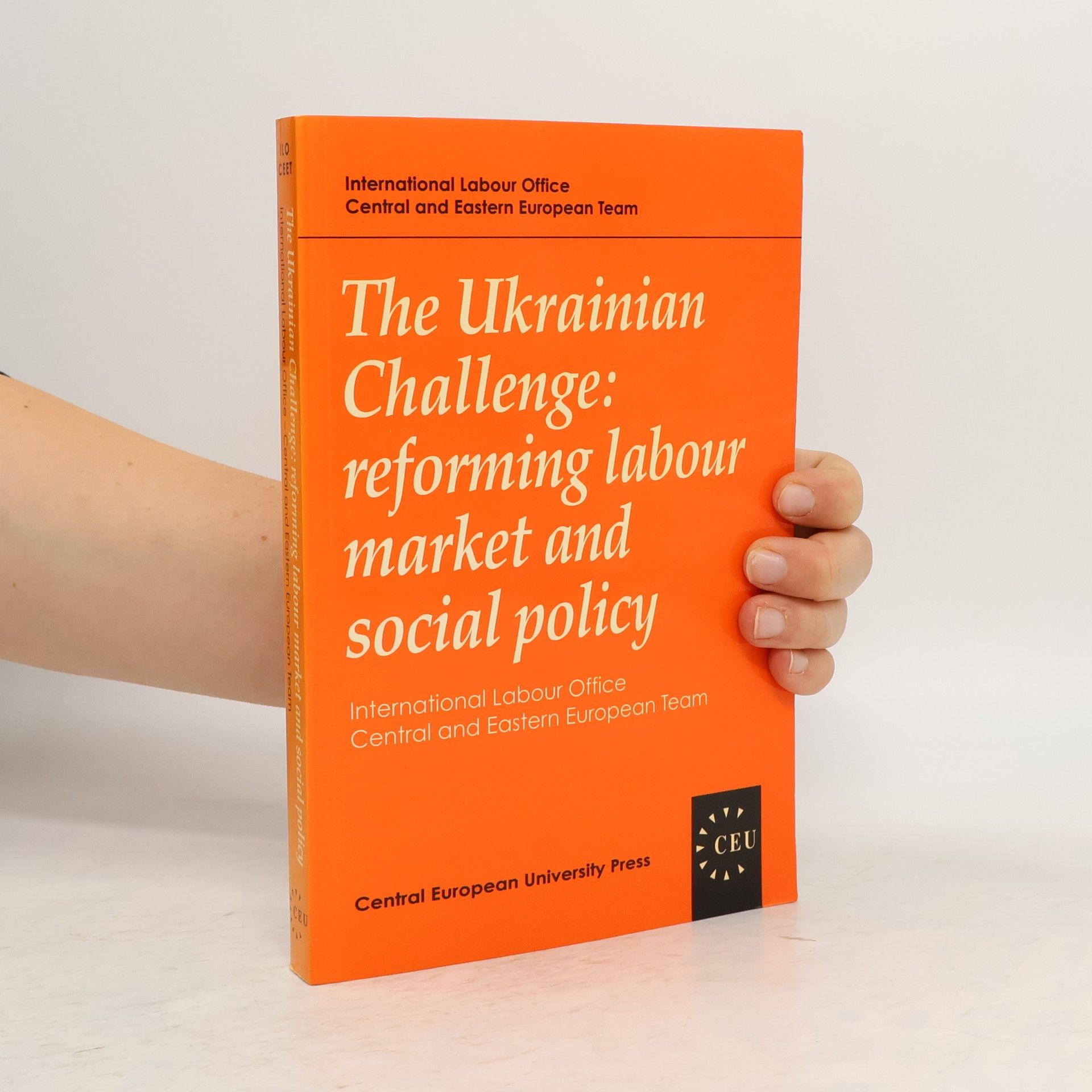 kolektiv The Ukrainian challenge: reforming labour market and social policy