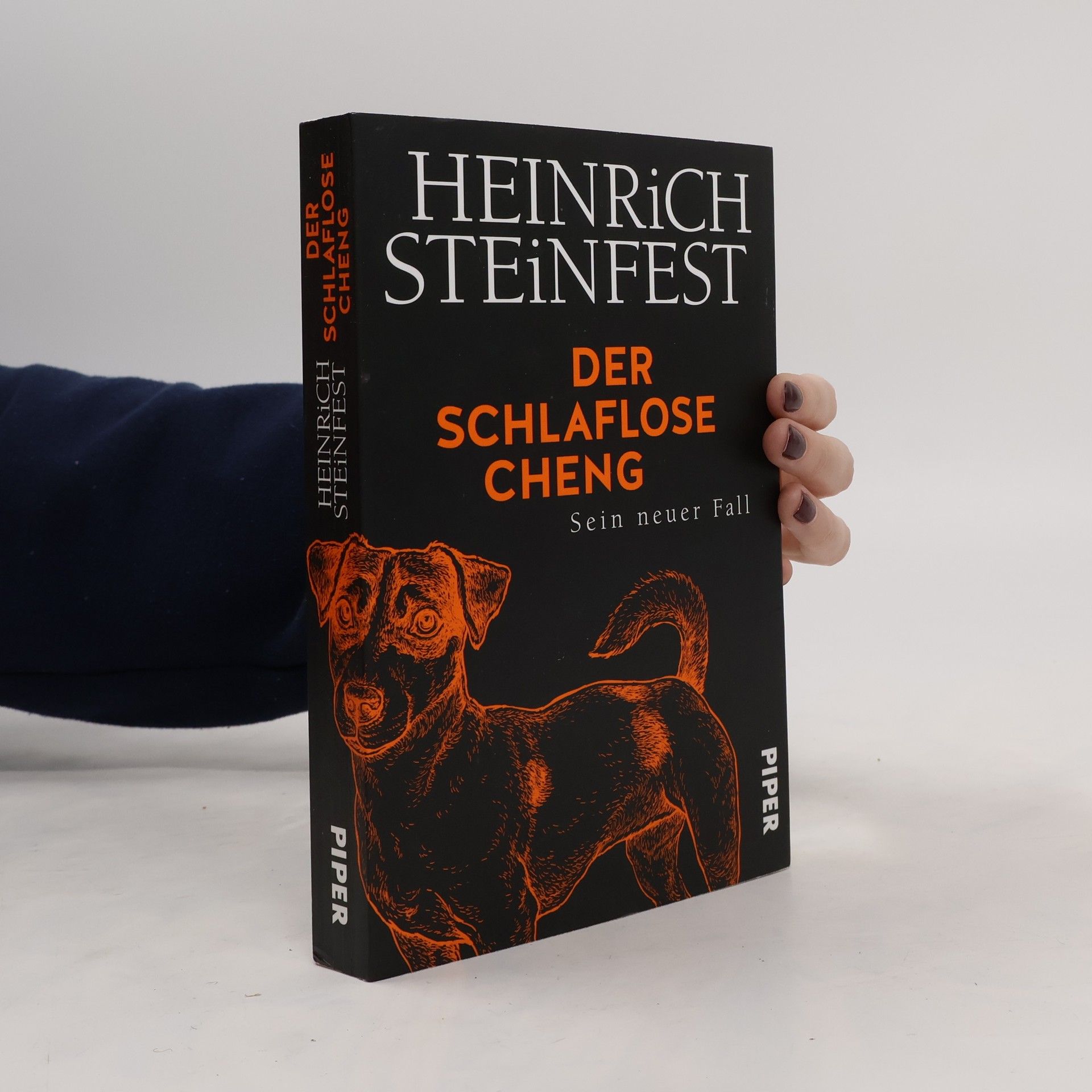 Heinrich Steinfest Der schlaflose Cheng