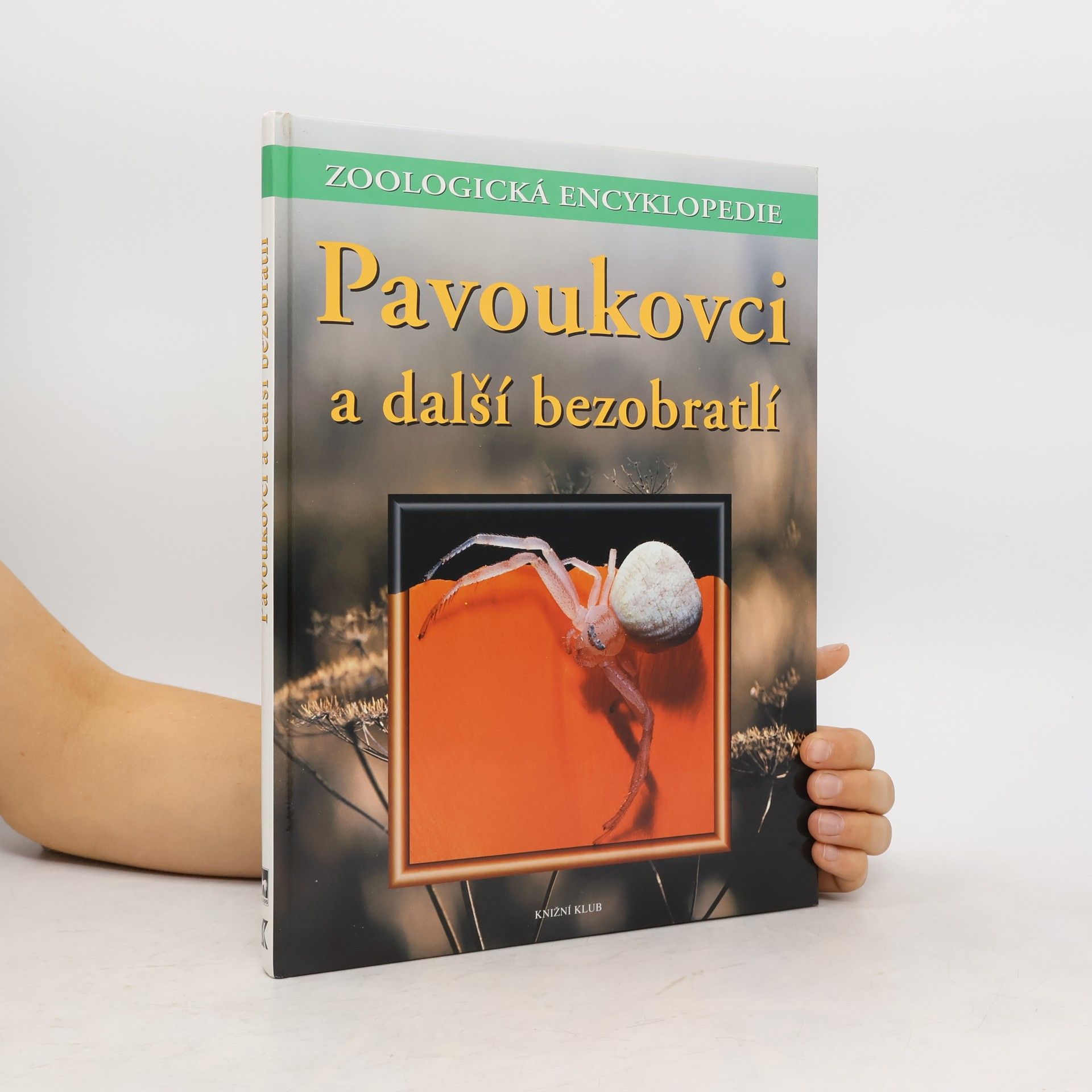 Heiko Bellmann Pavoukovci a další bezobratlí
