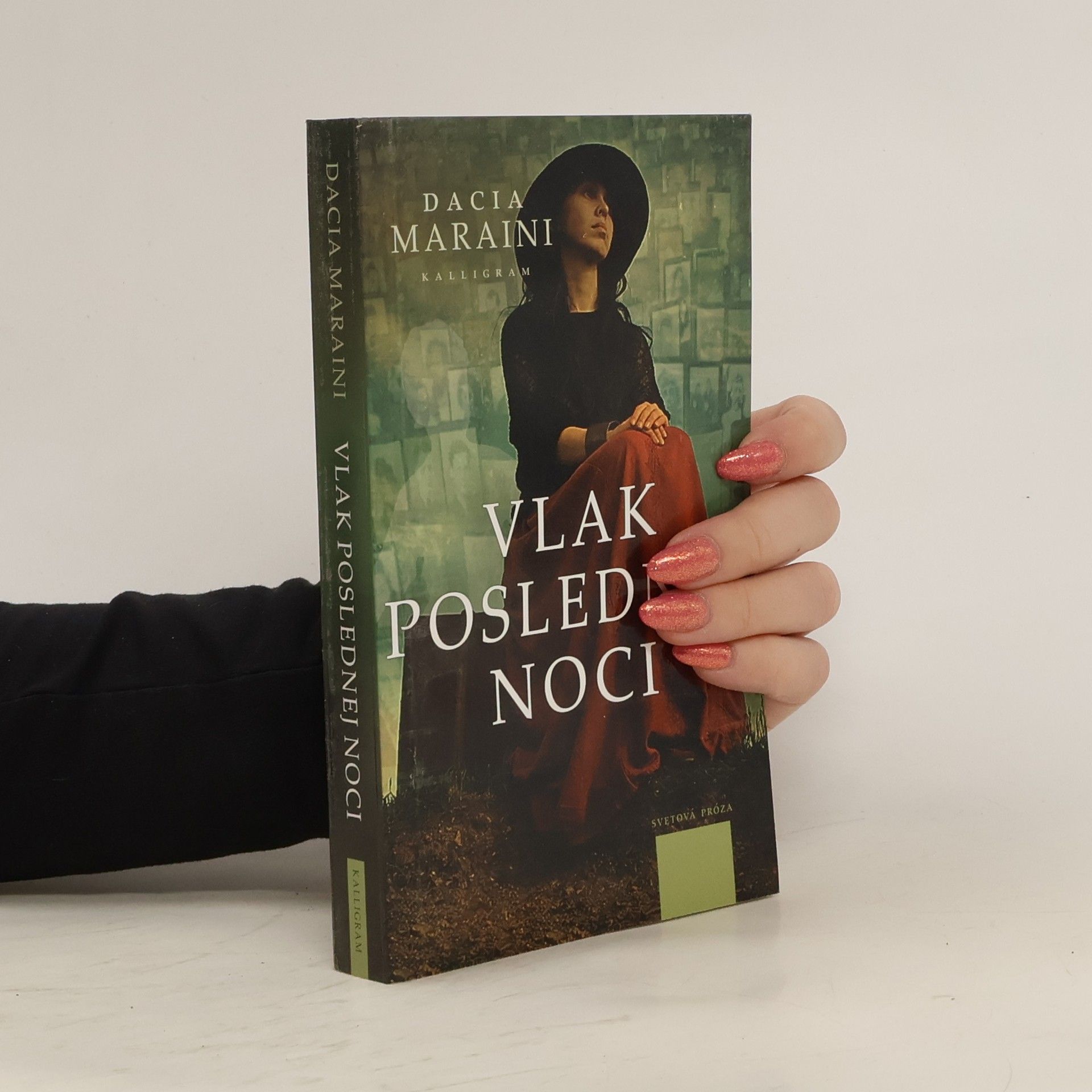 Dacia Maraini Vlak poslednej noci