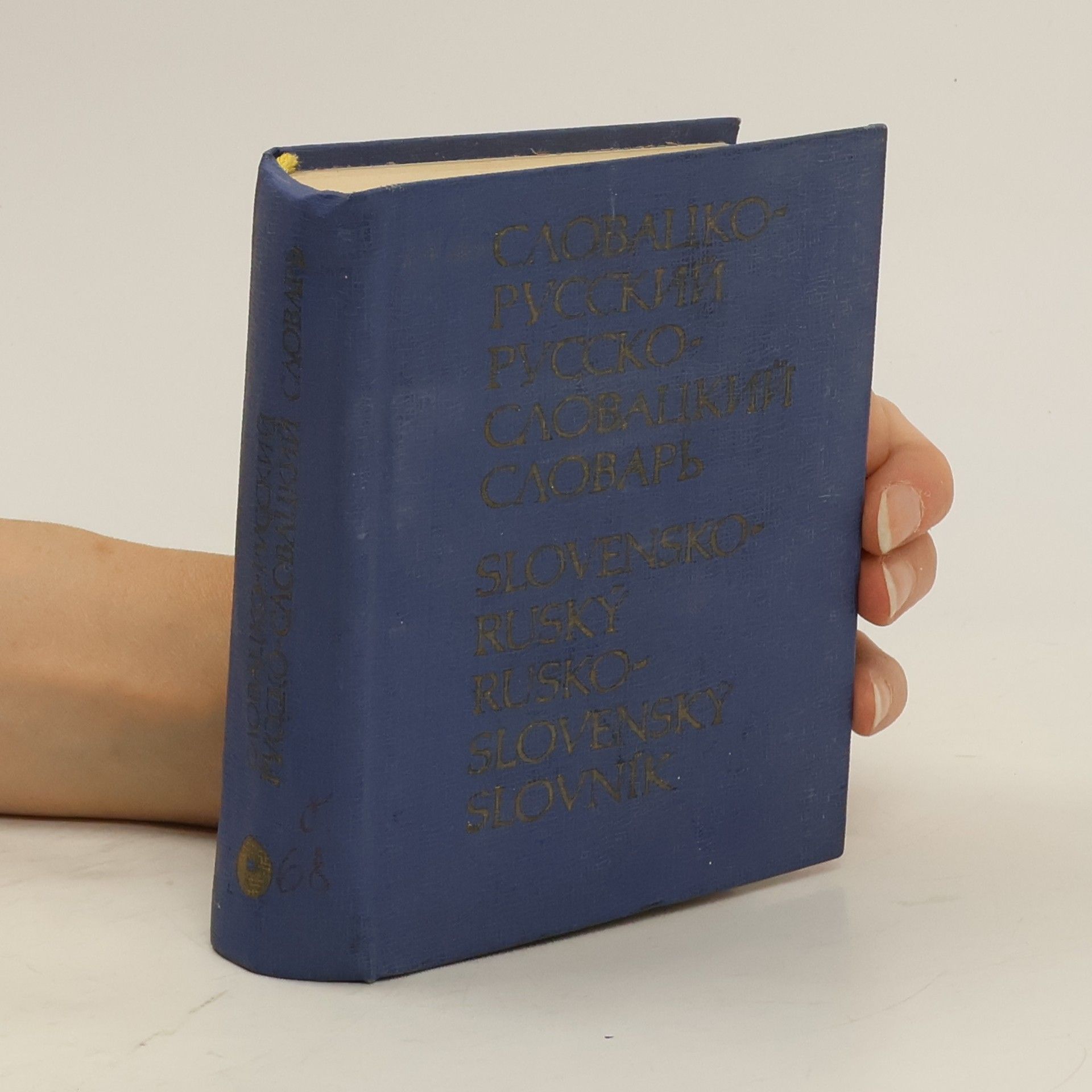 Collectif d'auteurs Карманный словацко-русский и русско-словацкий словарь