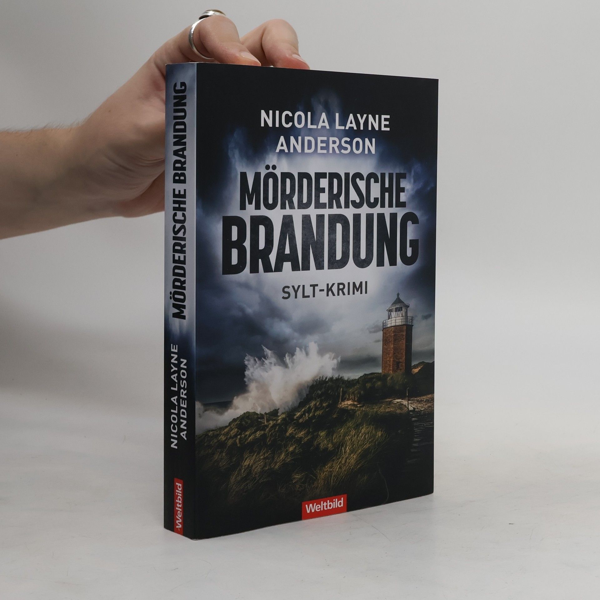 Nicola Layne Anderson Mörderische Brandung