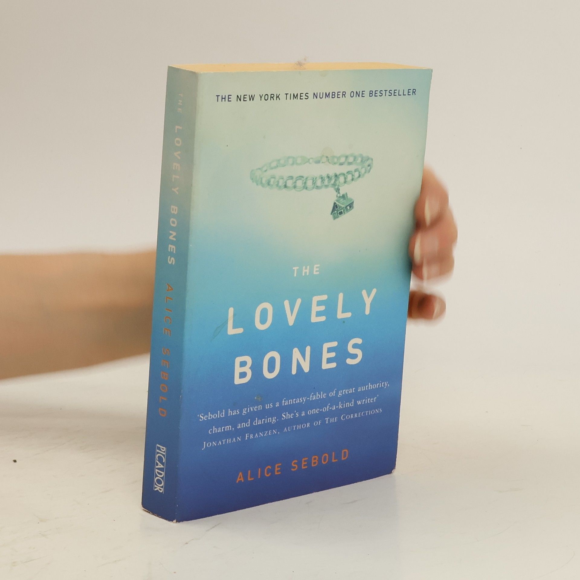 Alice Sebold The Lovely Bones