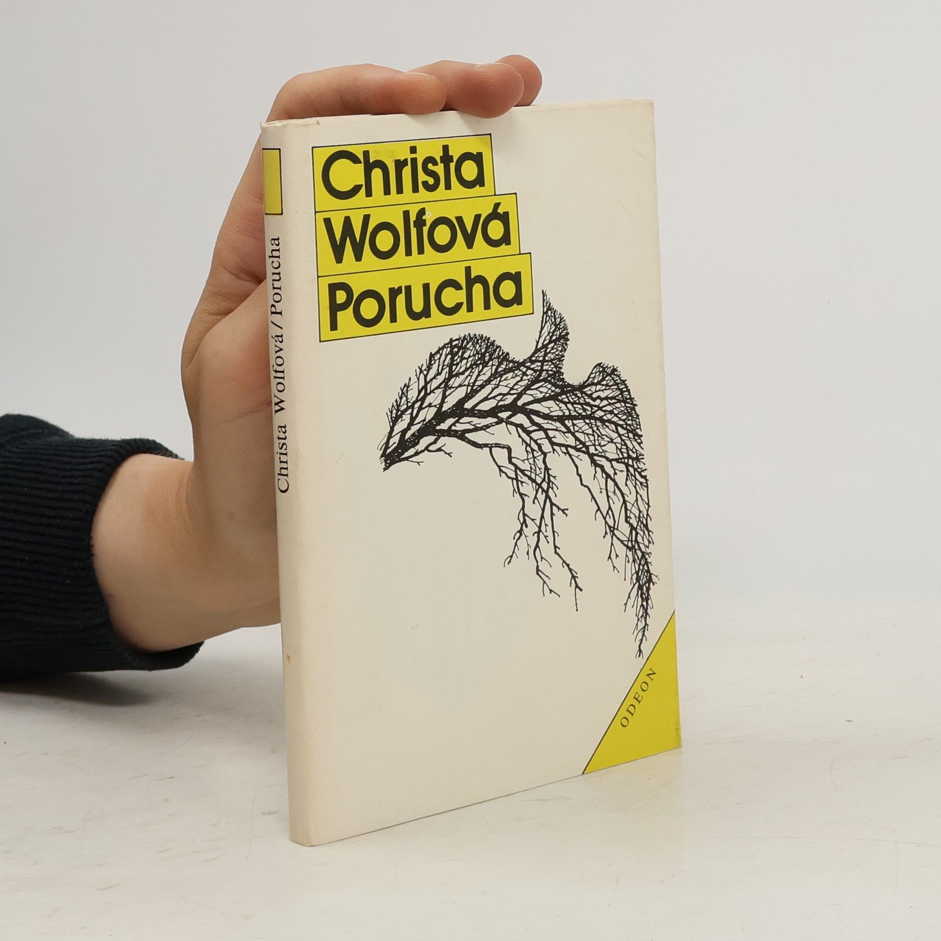 Christa Wolf Porucha - Zprávy jednoho dne