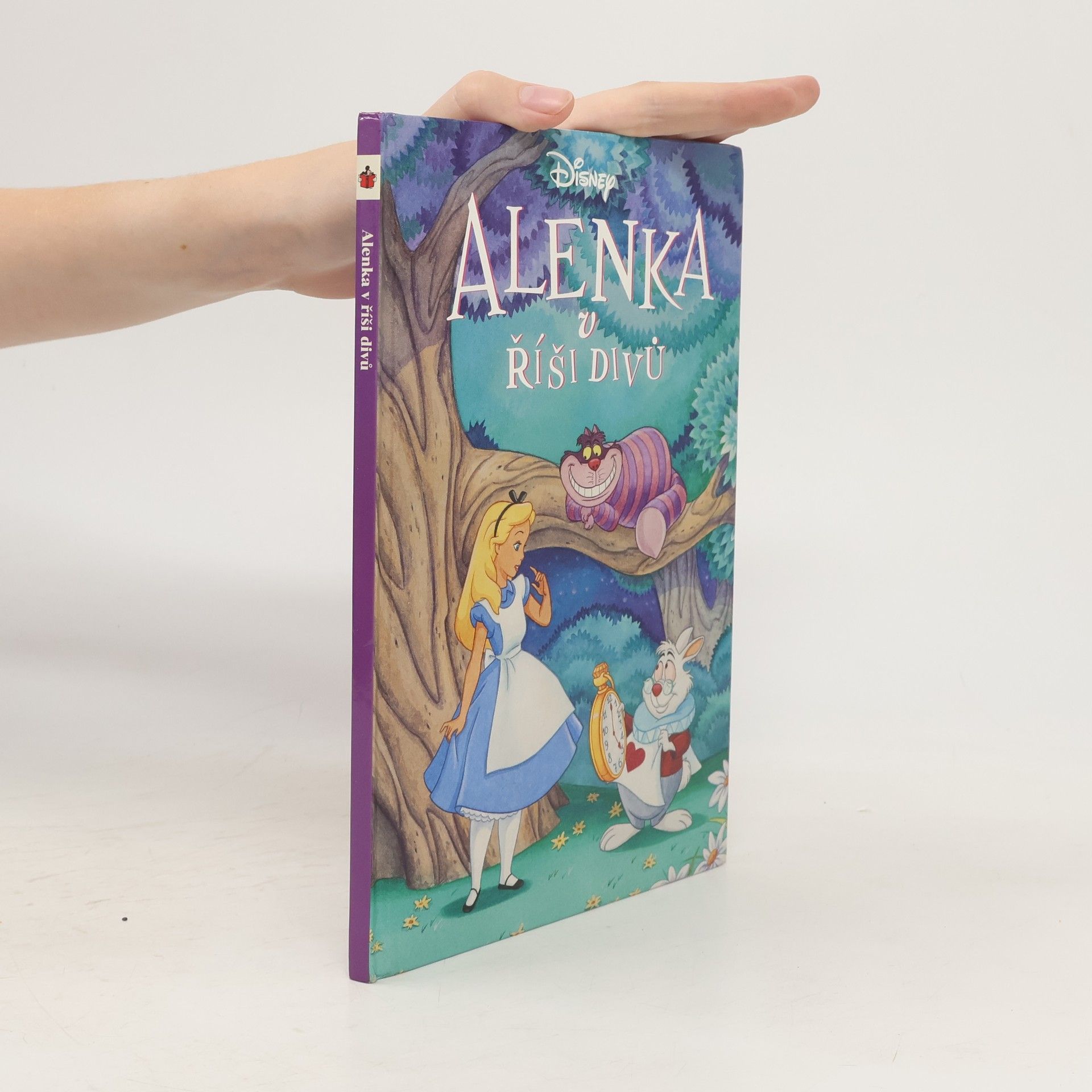 kolektiv Alenka v říši divů