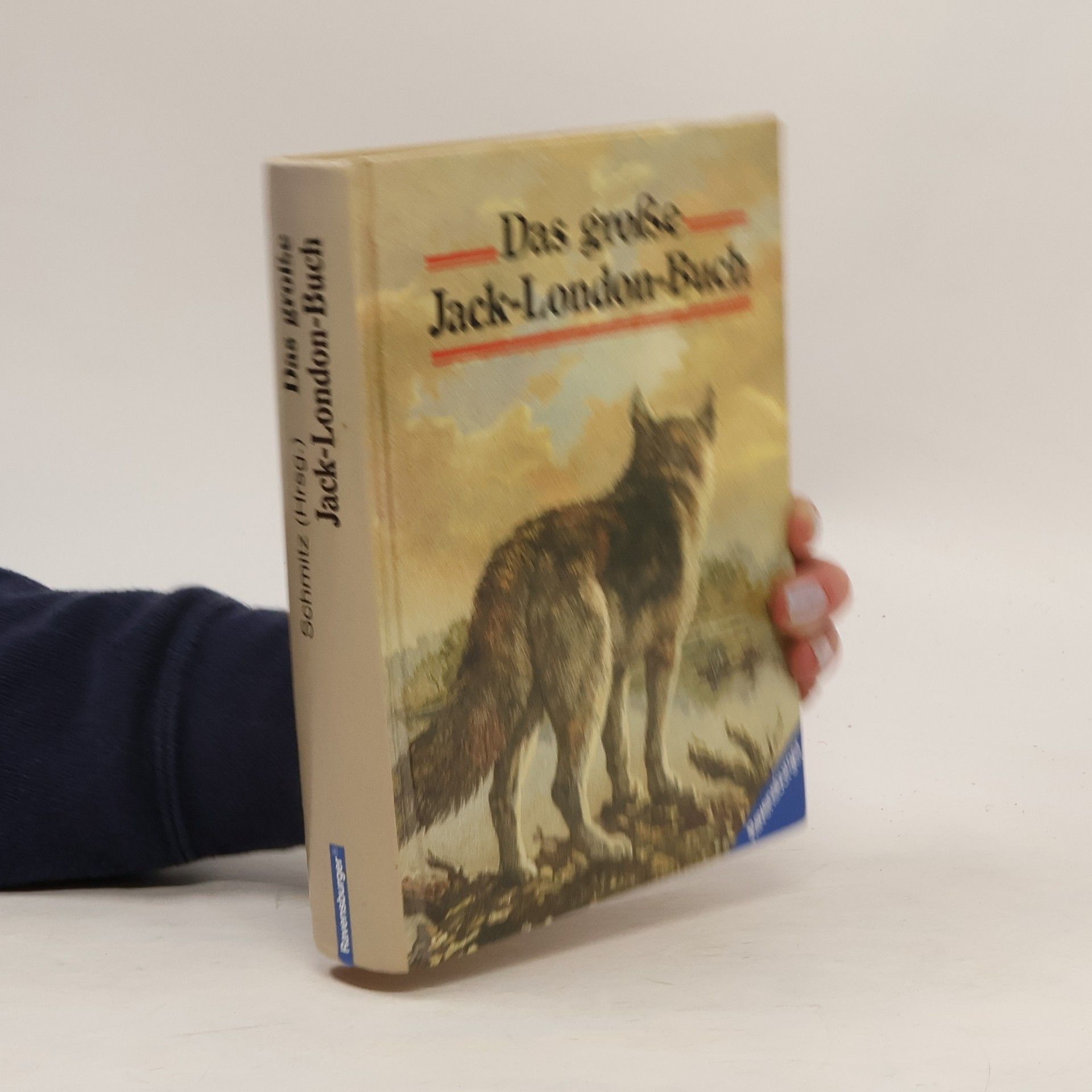 Jack London Das große Jack-London-Buch