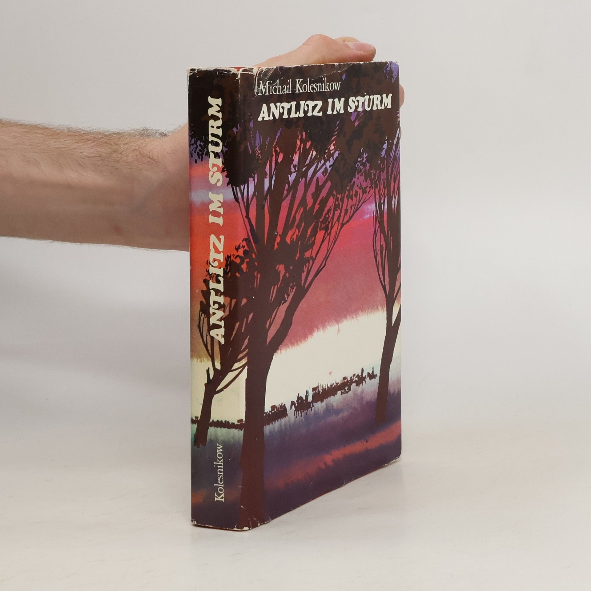 Michail Kolesnikov Antlitz im Sturm