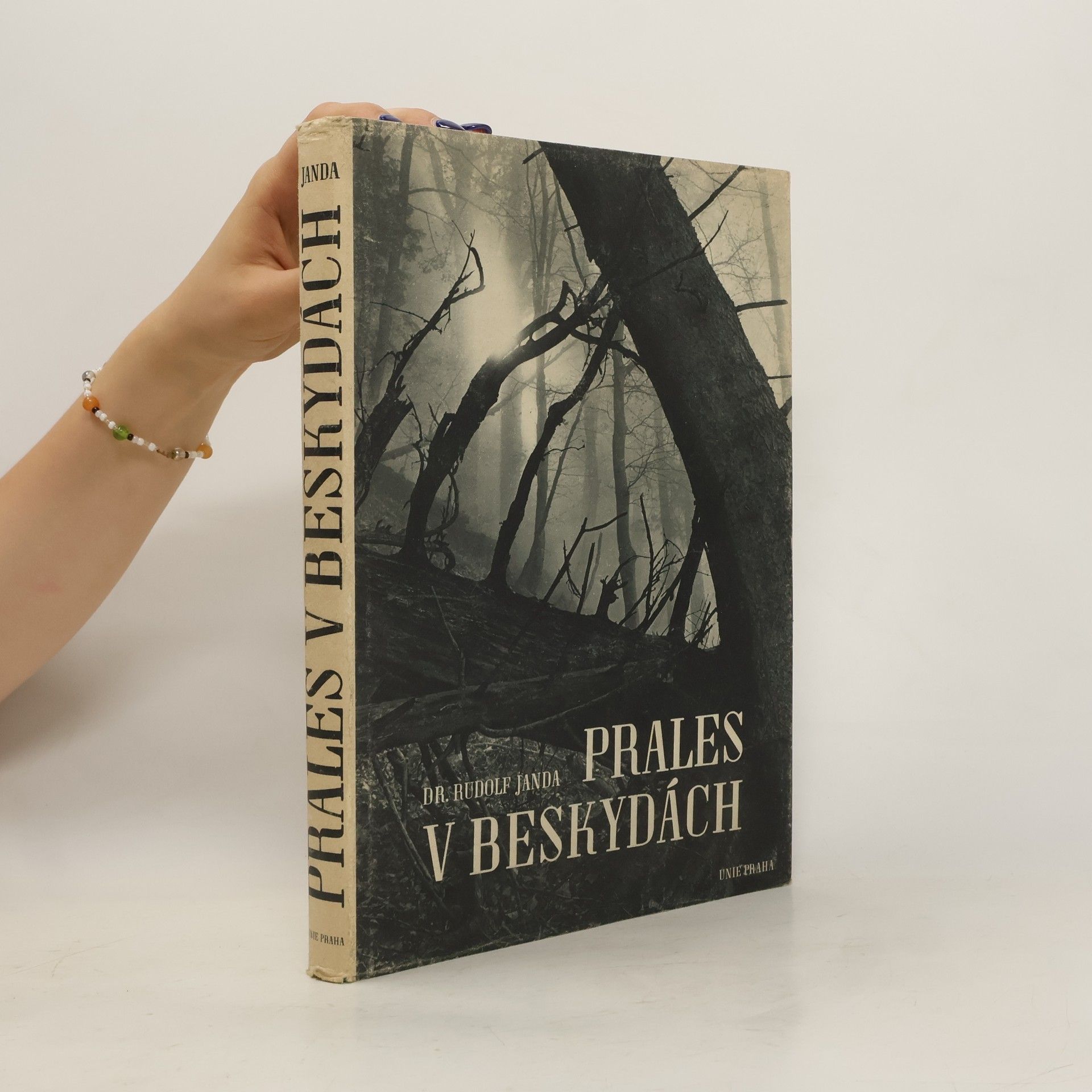Rudolf Janda Prales v Beskydách