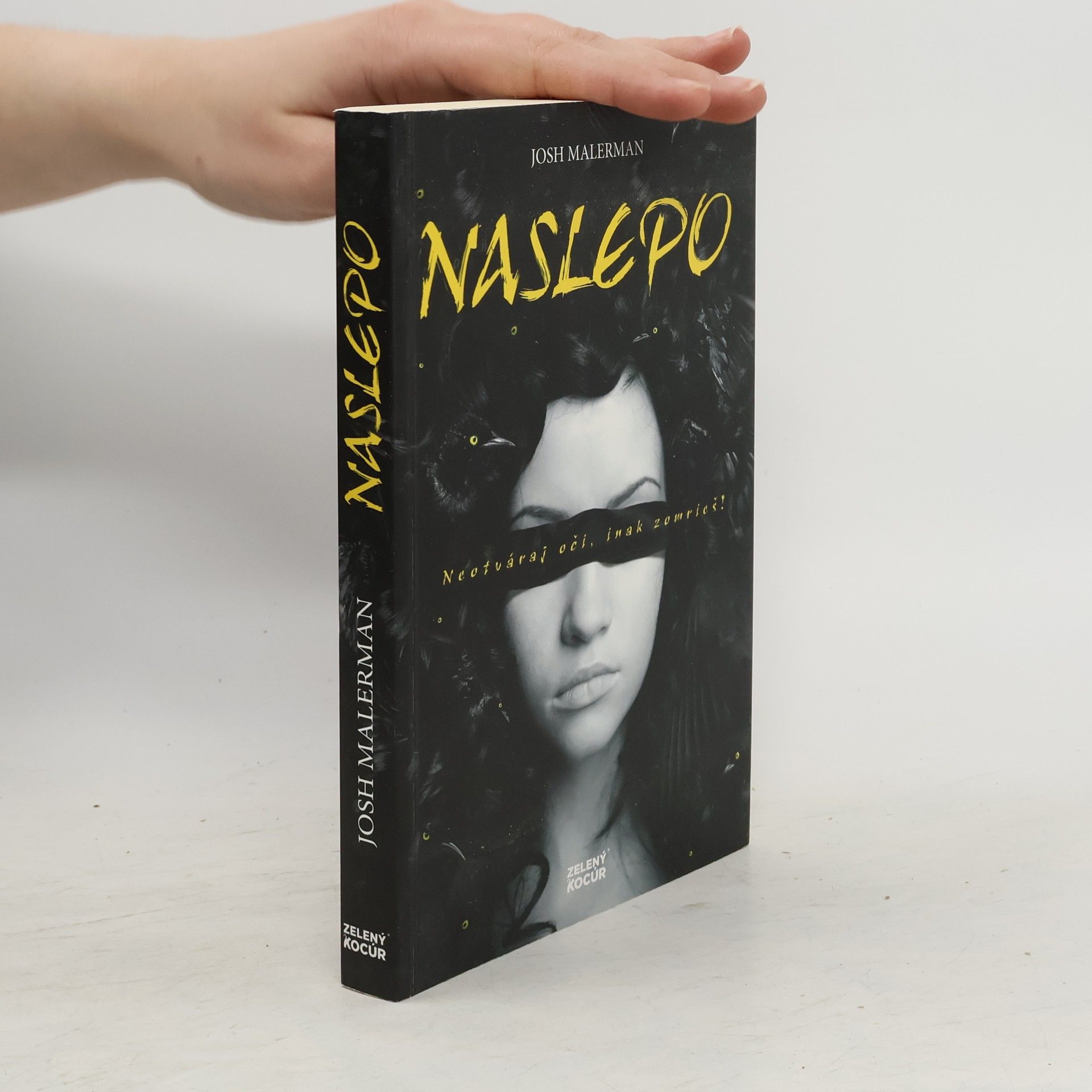 Josh Malerman Naslepo
