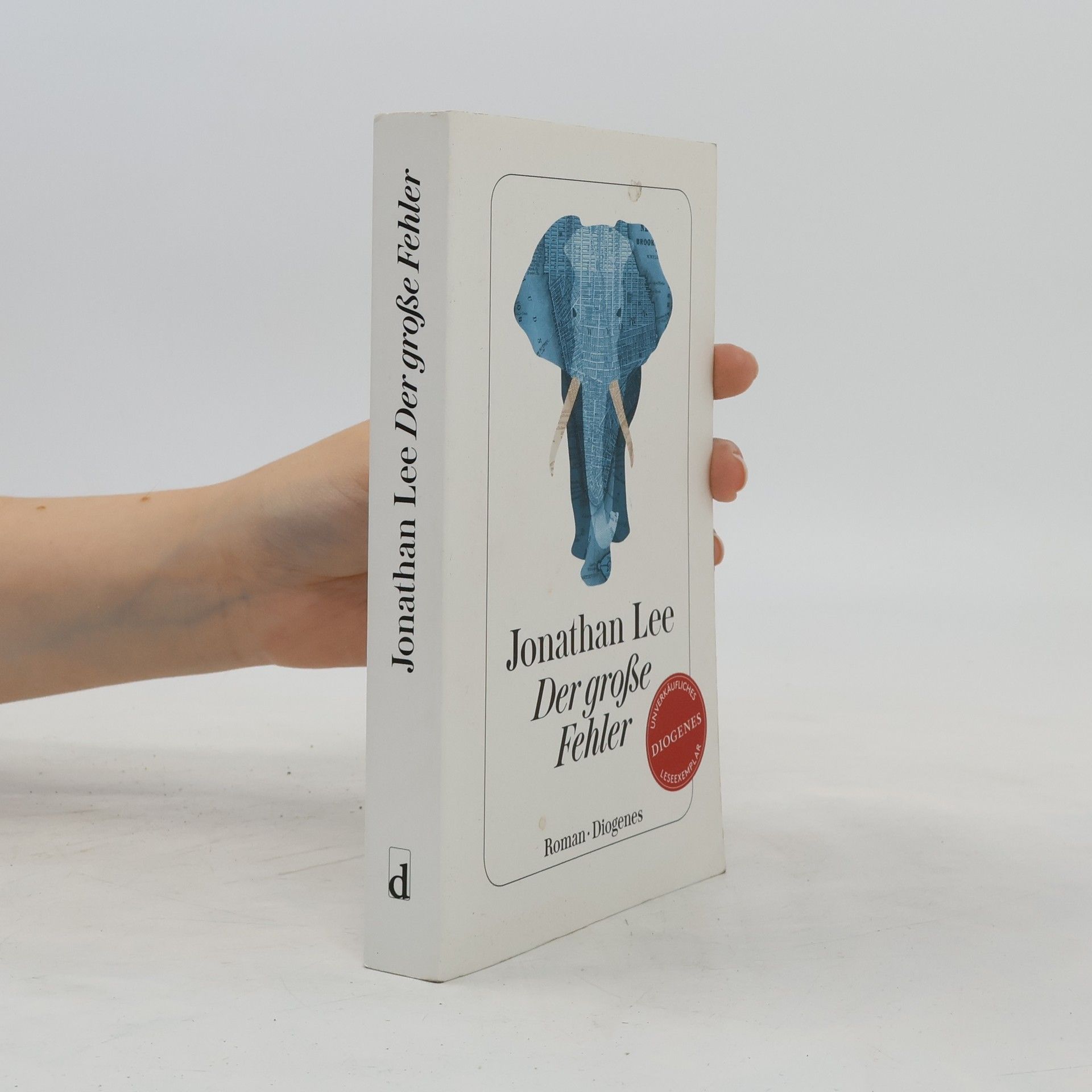 Jonathan Lee Der große Fehler