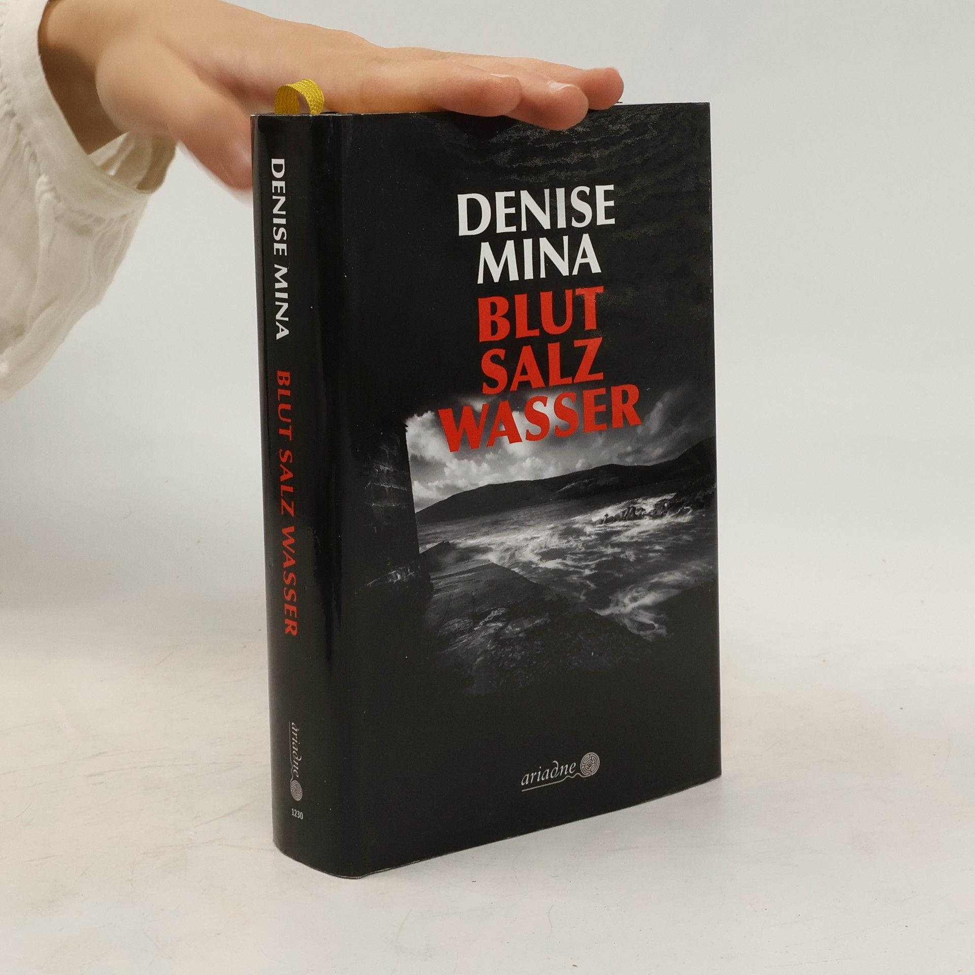 Denise Mina Blut - Salz - Wasser
