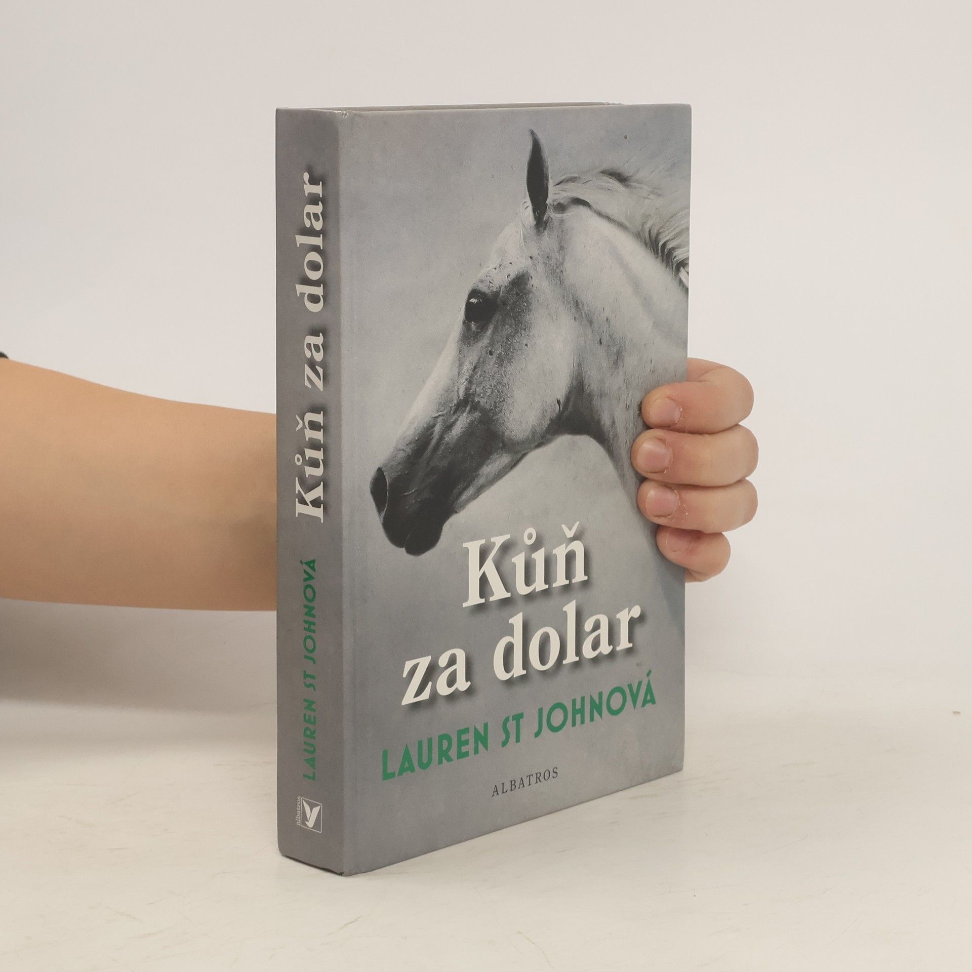 Lauren St. John Kůň za dolar