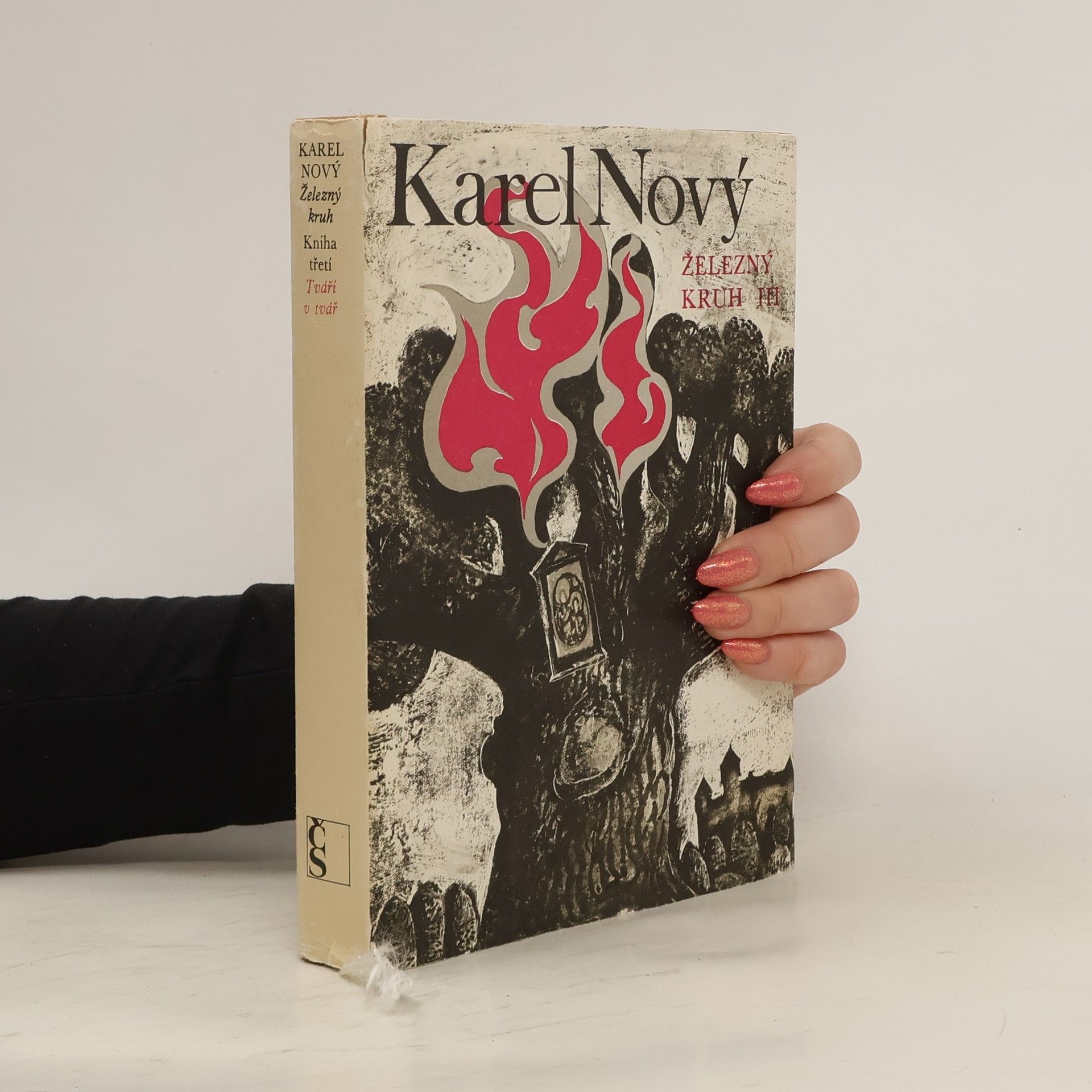 Karel Nový Železný kruh III.