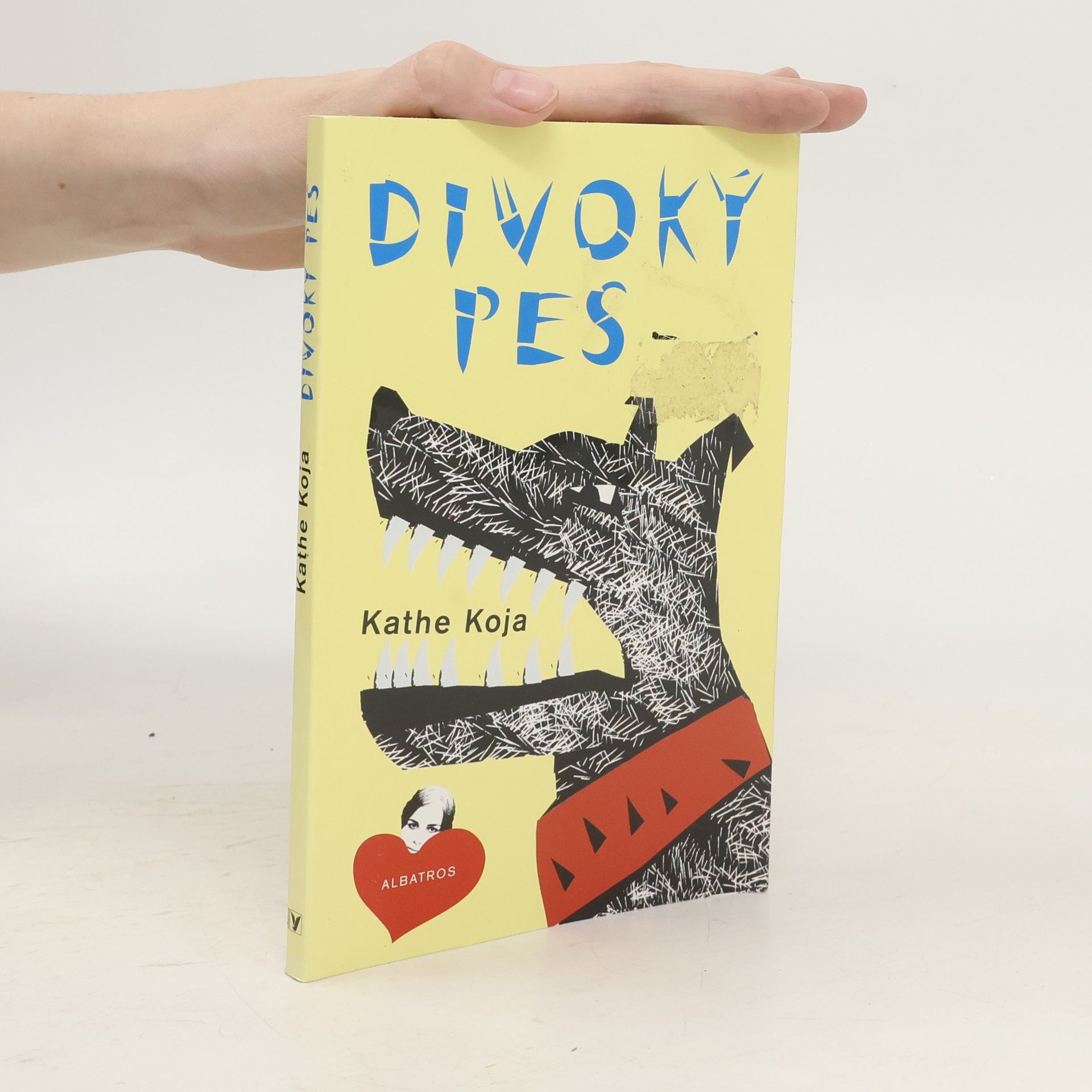 Kathe Koja Divoký pes
