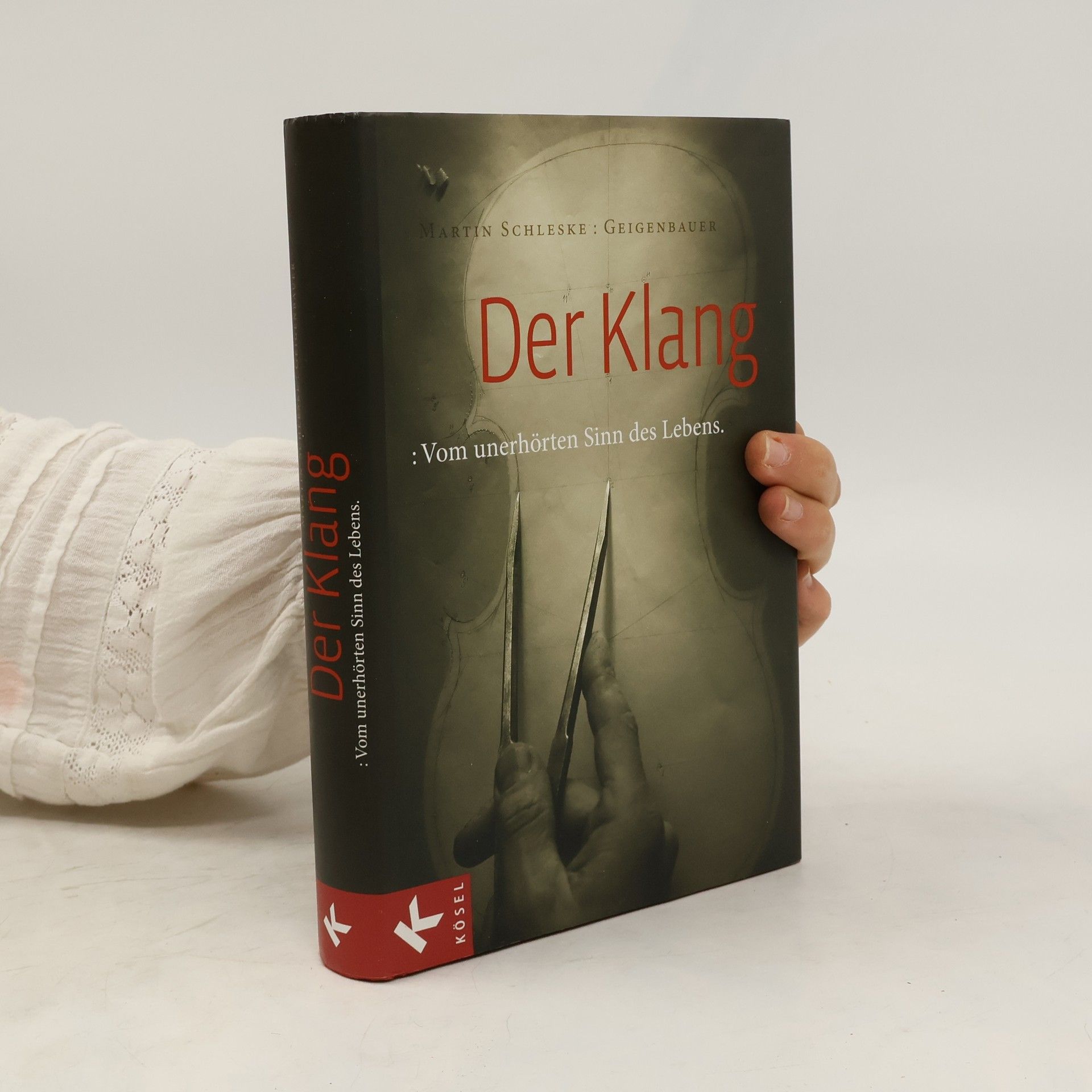 Martin Schleske Der Klang