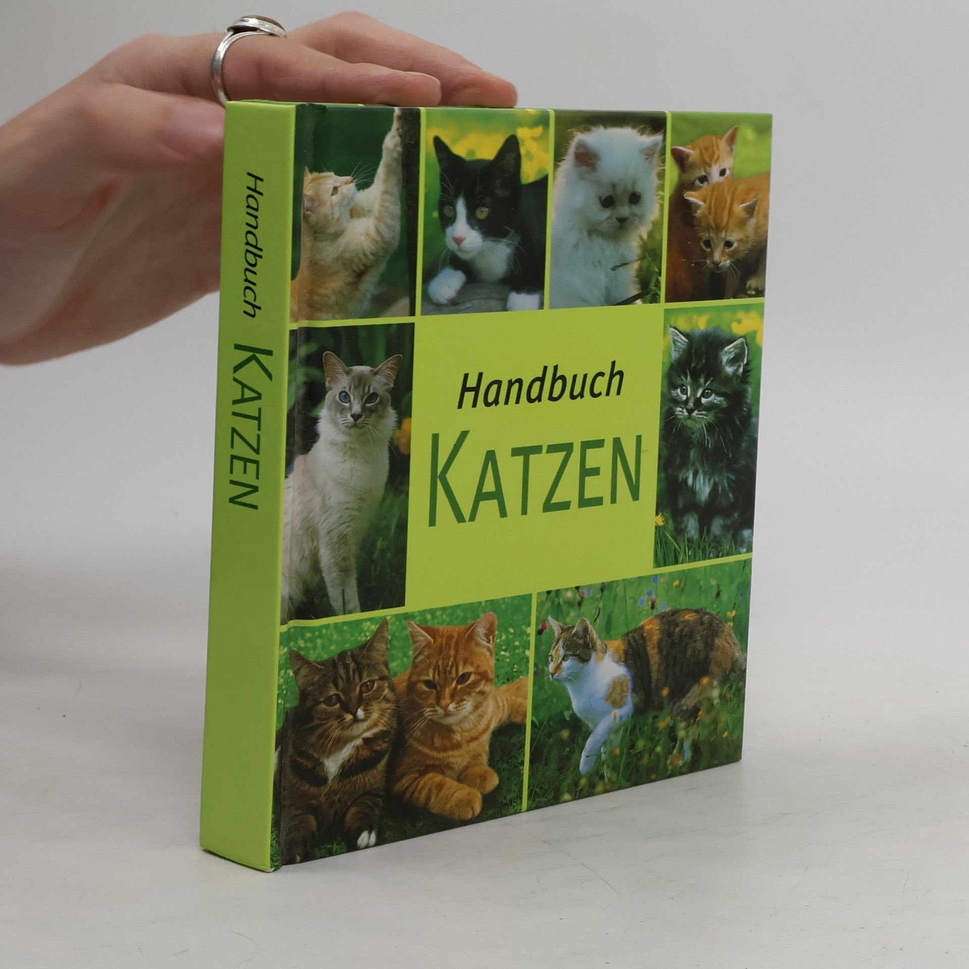 Collectif d'auteurs Handbuch Katzen
