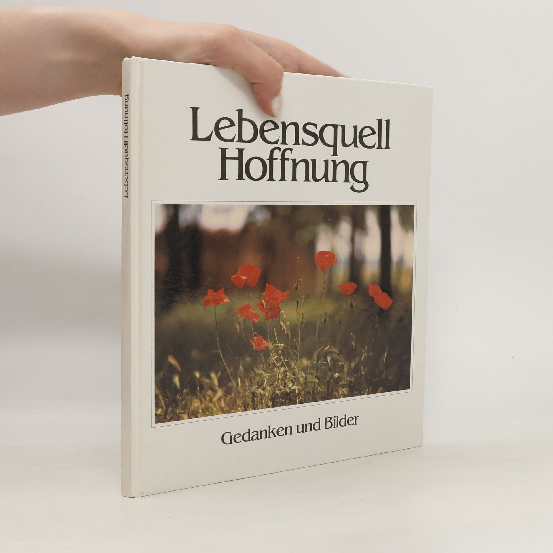 Janos Selmeczi Toth Lebensquell Hoffnung
