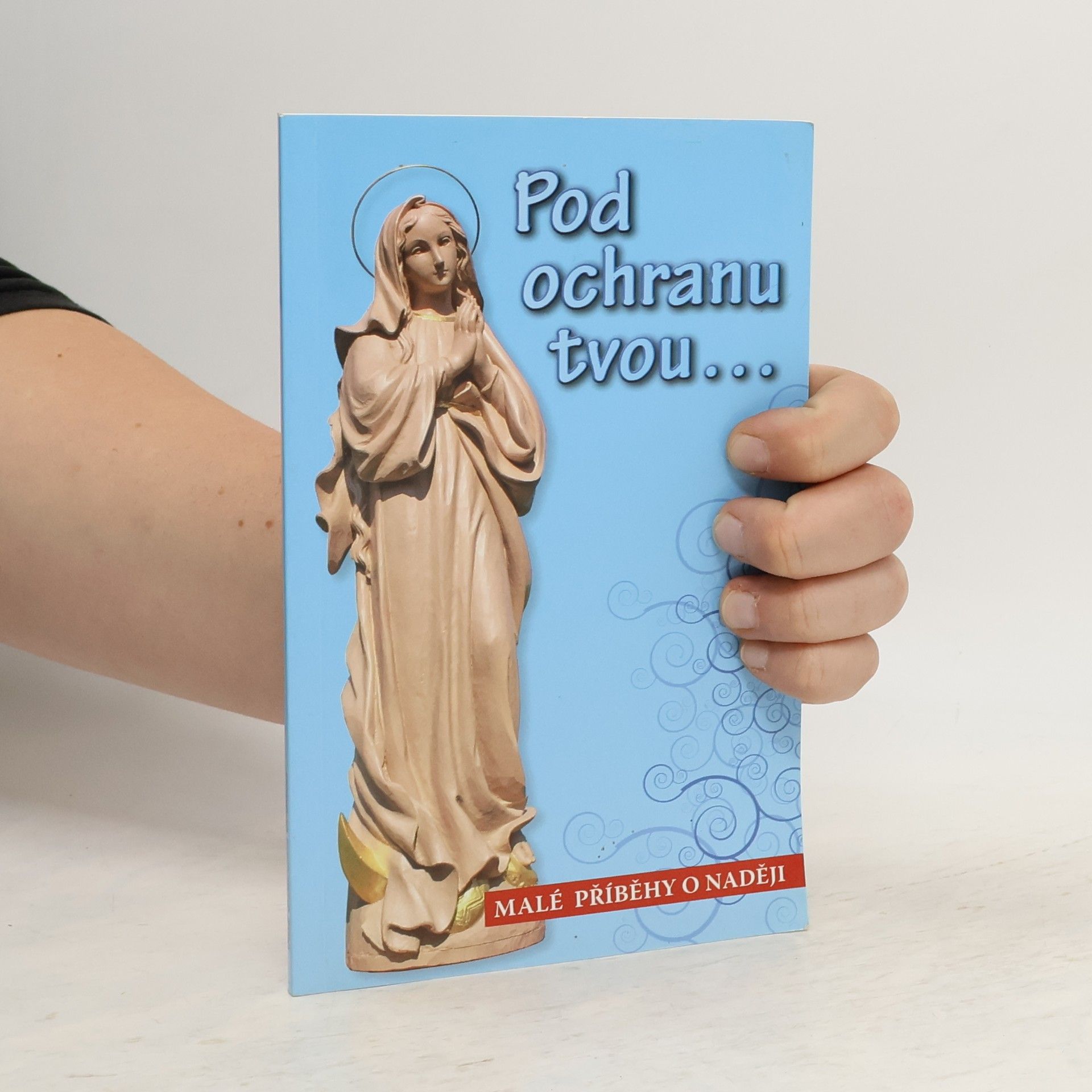 Collectif d'auteurs Pod ochranu tvou...