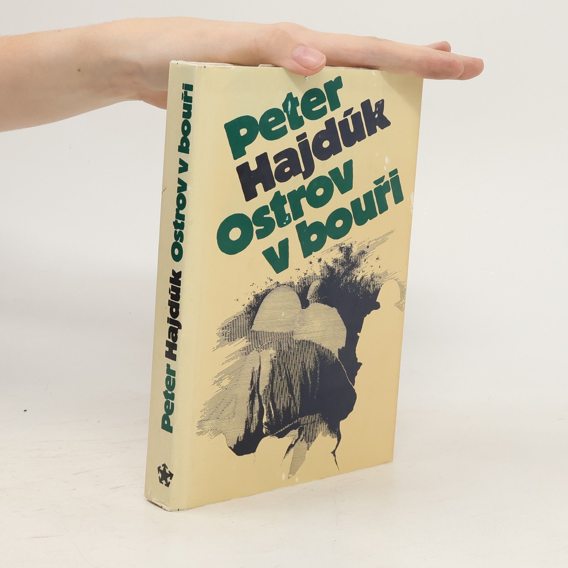 Peter Hajdúk Ostrov v bouři